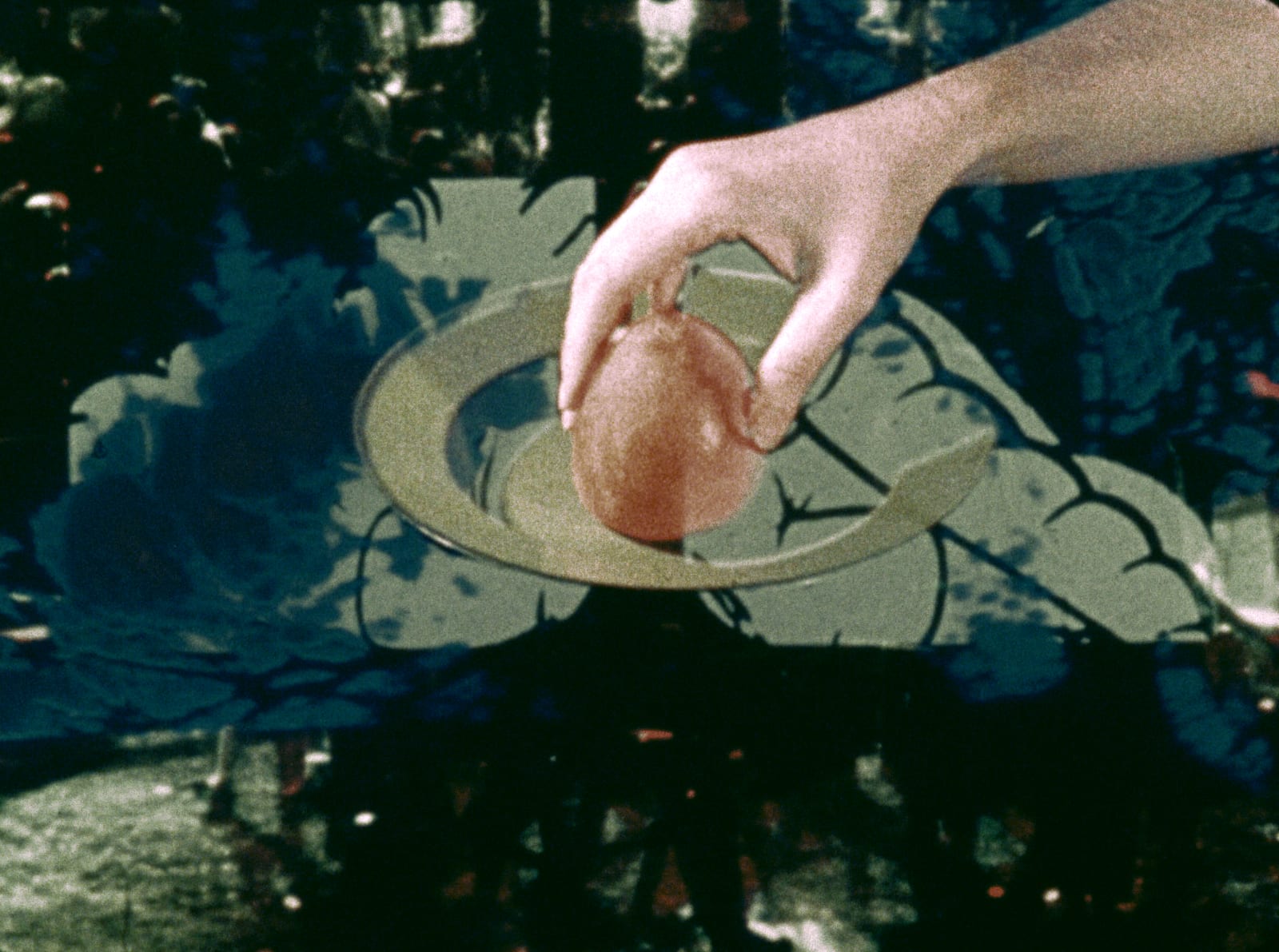 Pat O’Neill, Last of the Persimmons, 1972