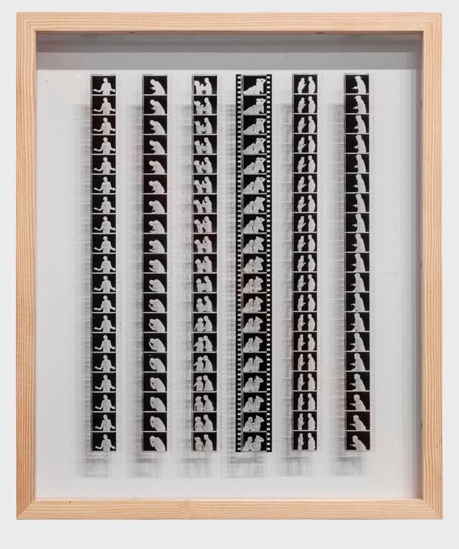 Pat O’Neill, EK 5369 #7, 2018