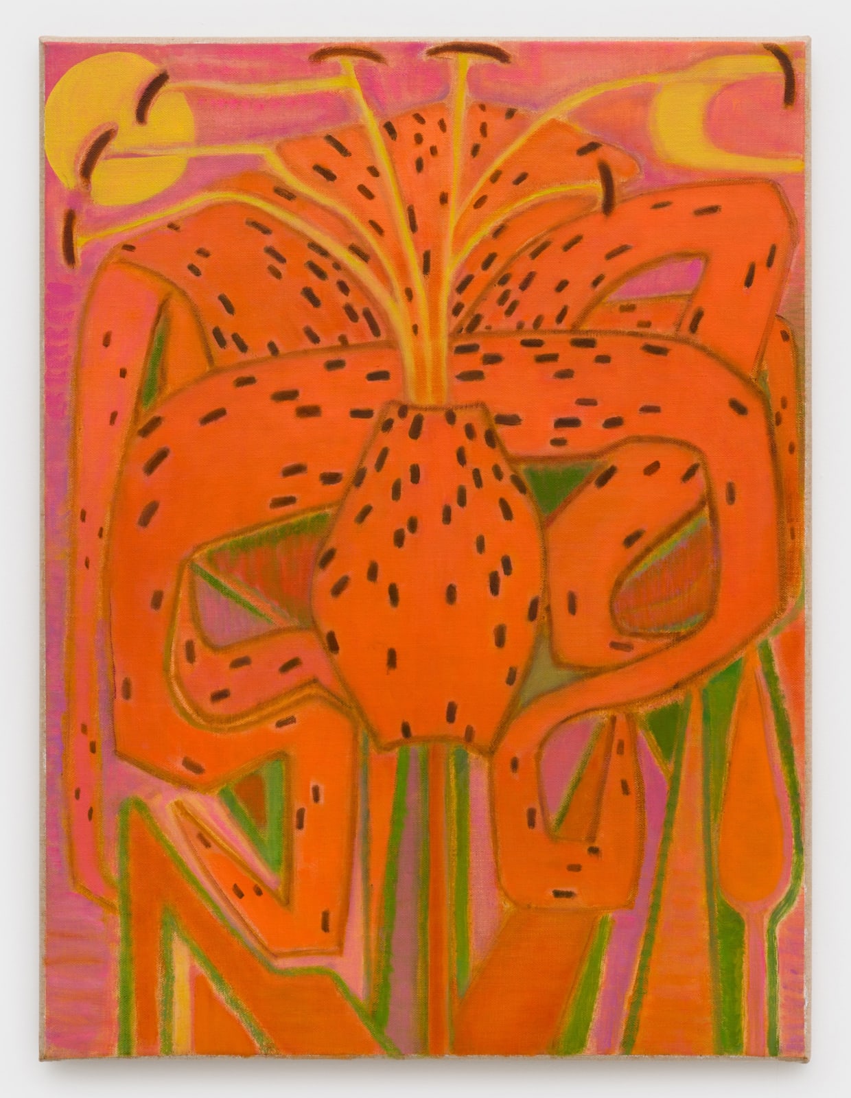 Laurie Nye, Humboldt Lily, 2025