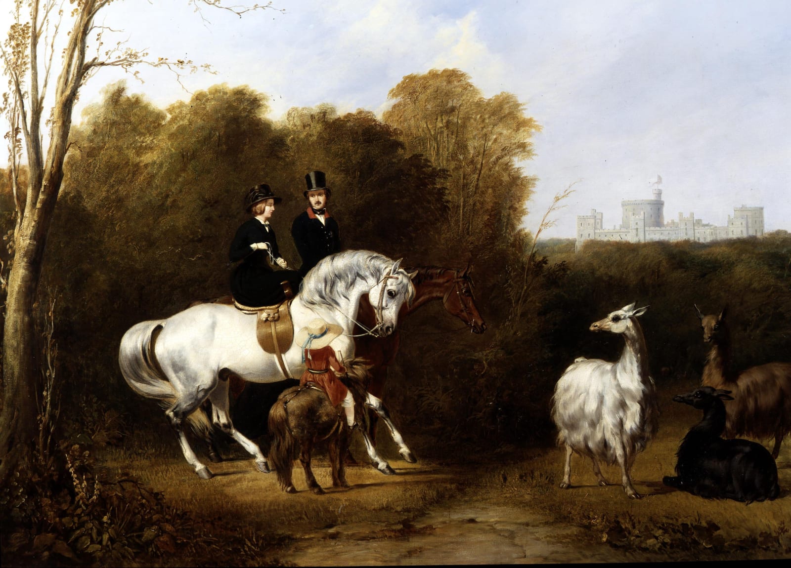 Alfred de Dreux, Portrait of Queen Victoria and HRH Prince Albert on horseback, viewing the llamas in Windsor Great Park, 1850s