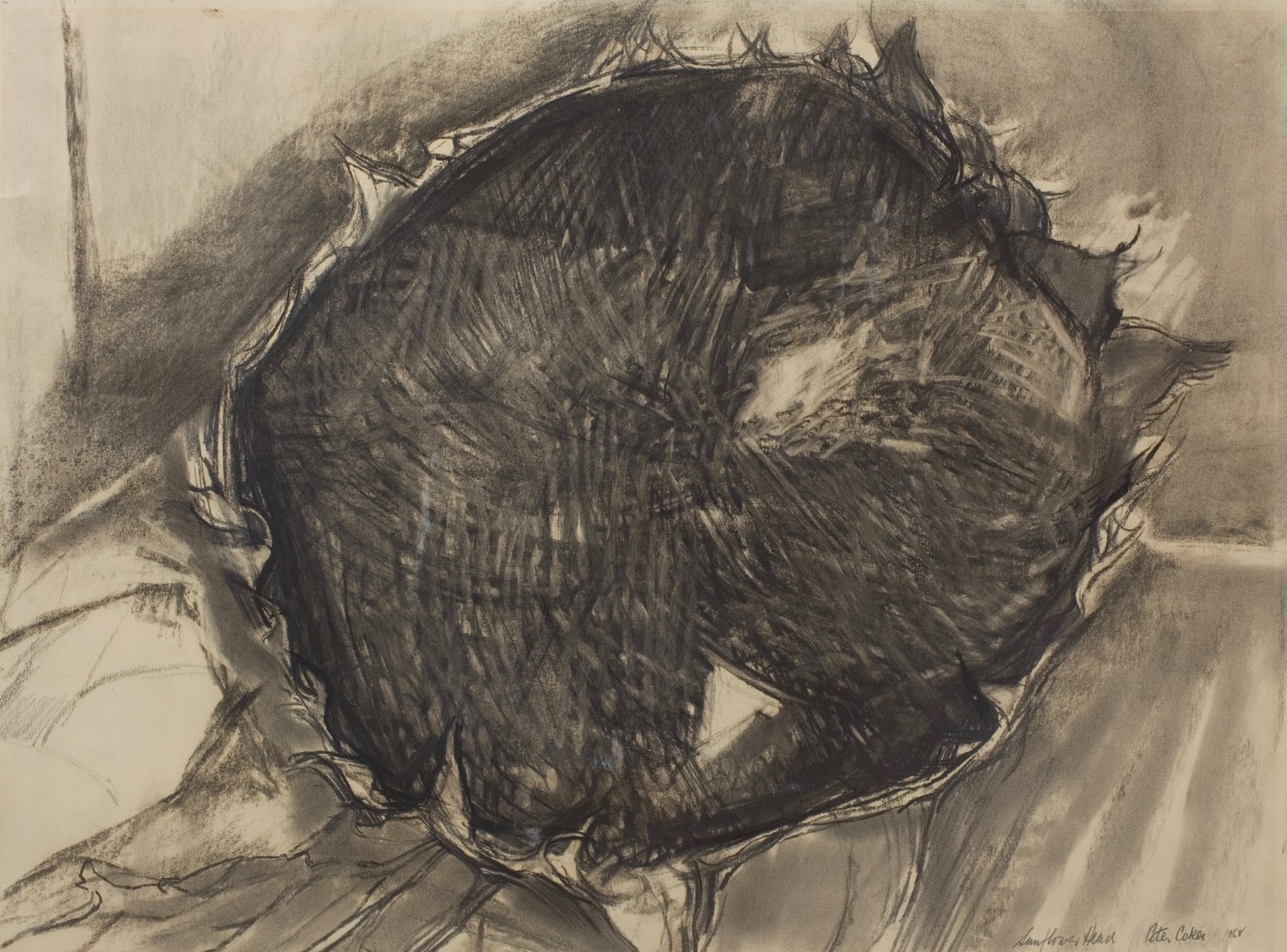 Peter Coker, Sunflower Head, 1958