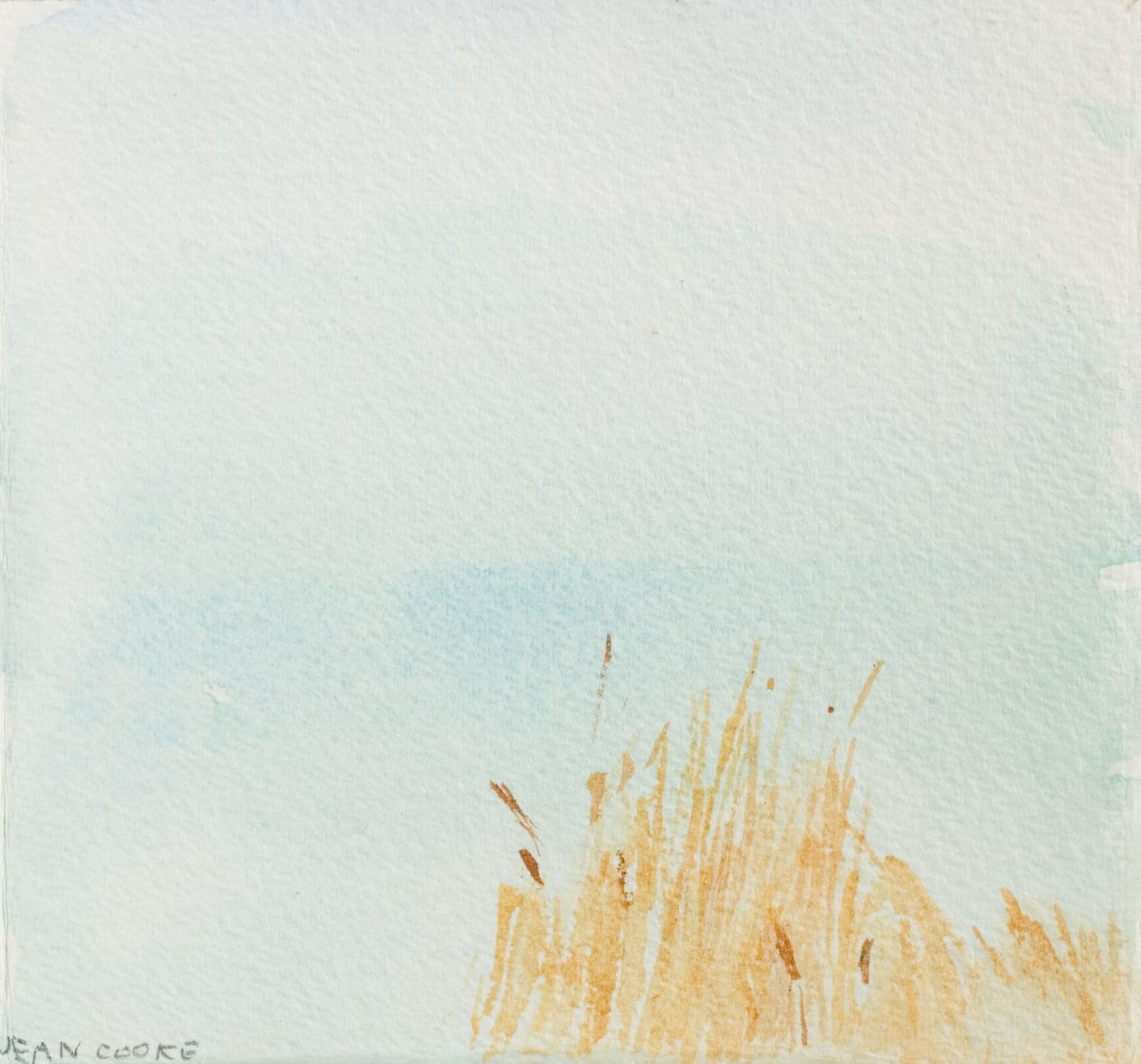 Jean Cooke, Looking down from the cliff at Birling Gap II, 2005, c.