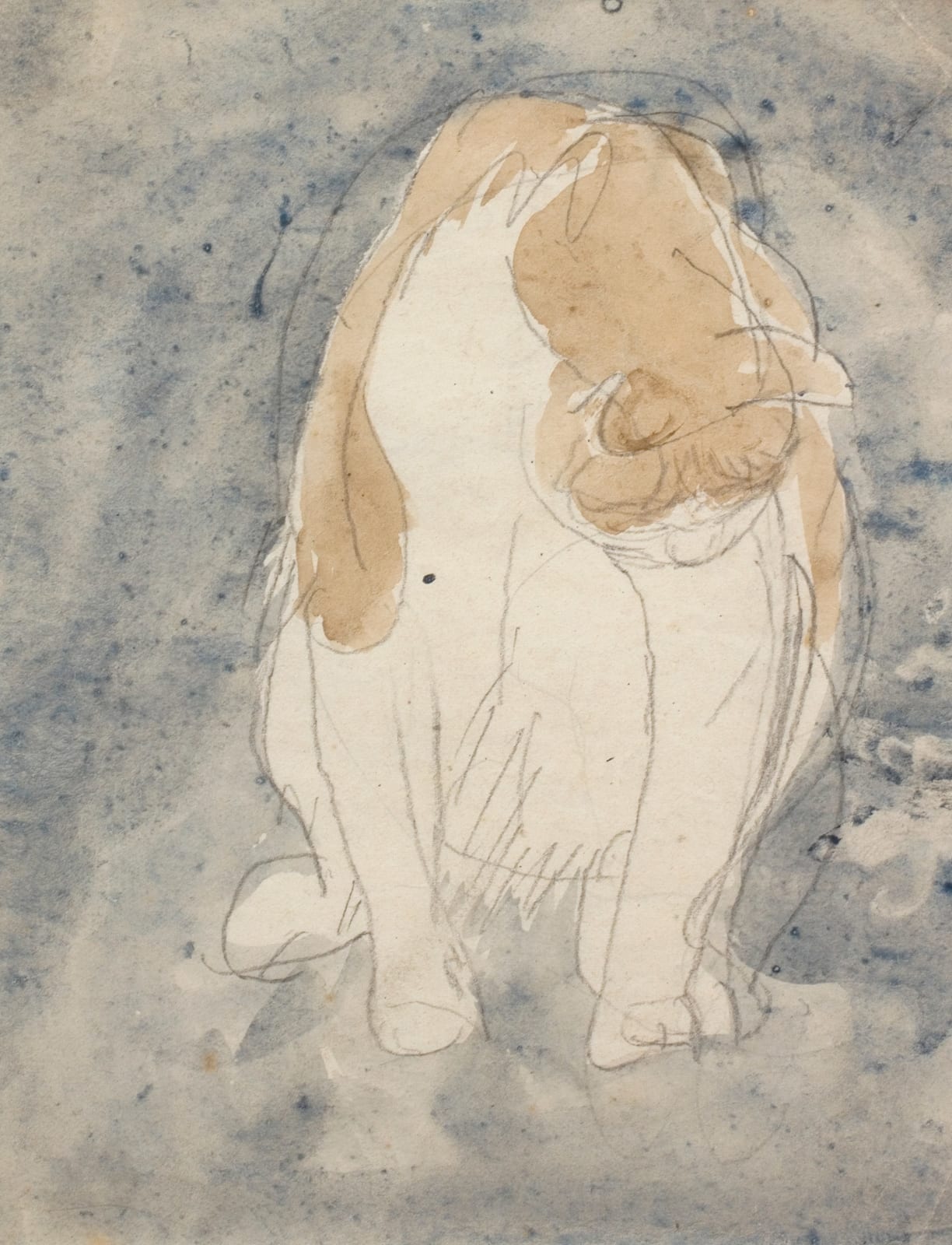 Gwen John, Study of a Cat, 1910-20, c.