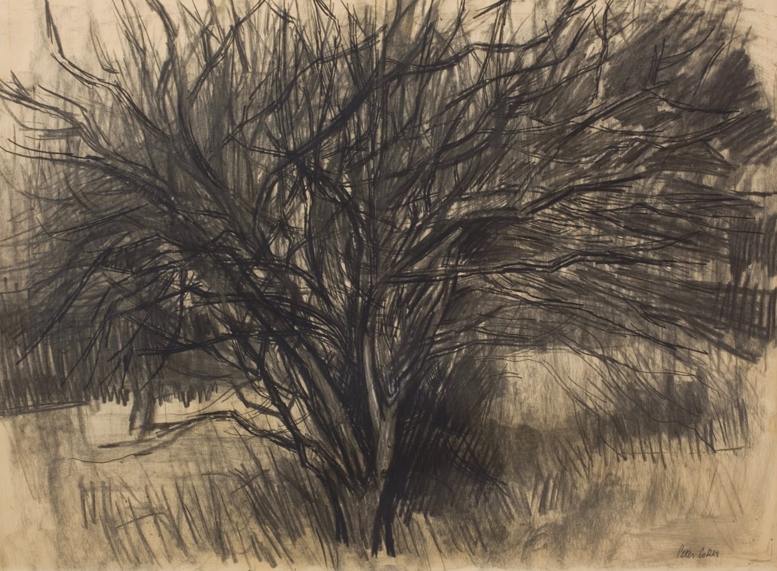 Peter Coker, Tree I, 1957 c.