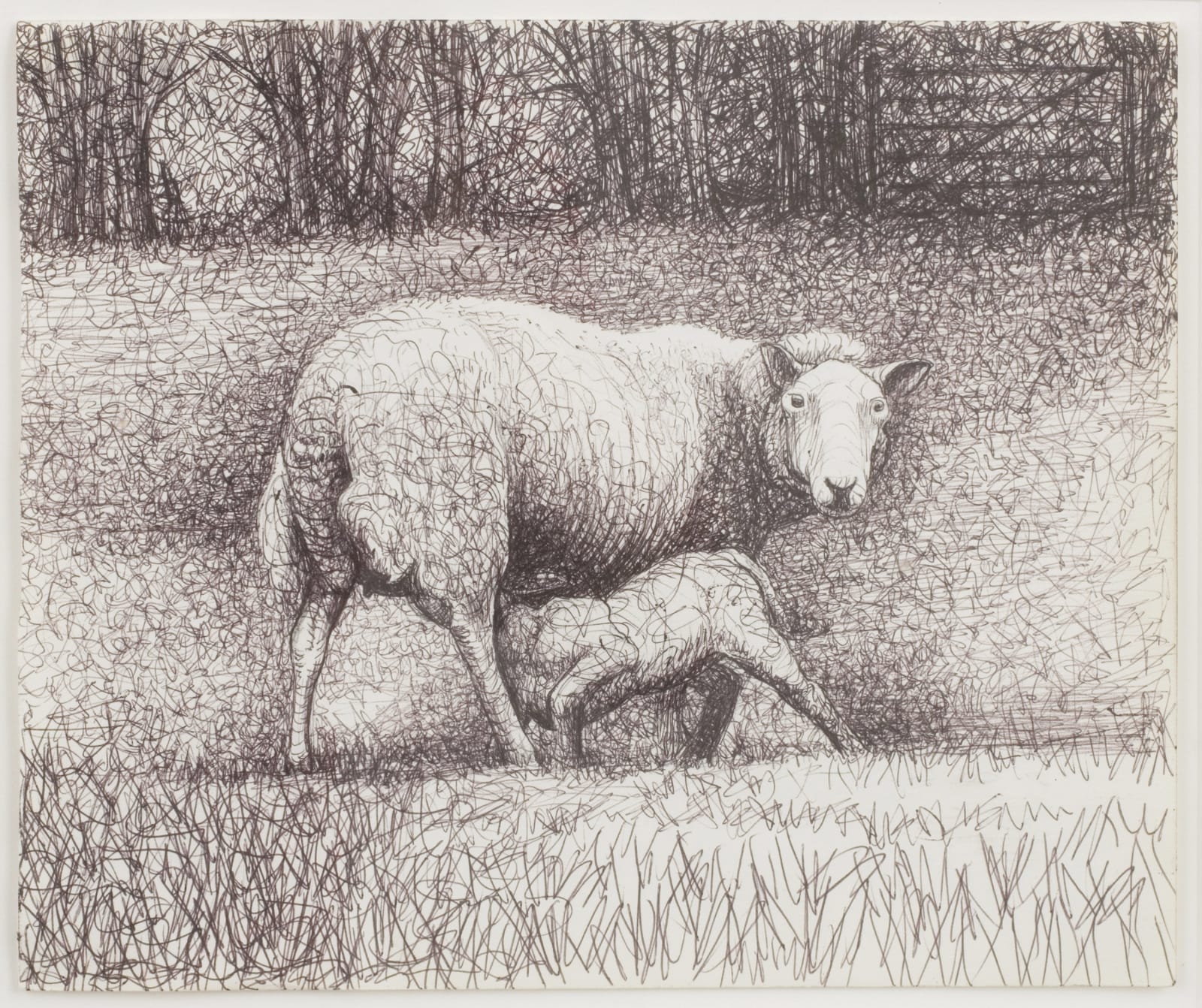 Henry Moore, Sheep Drawing, 1972