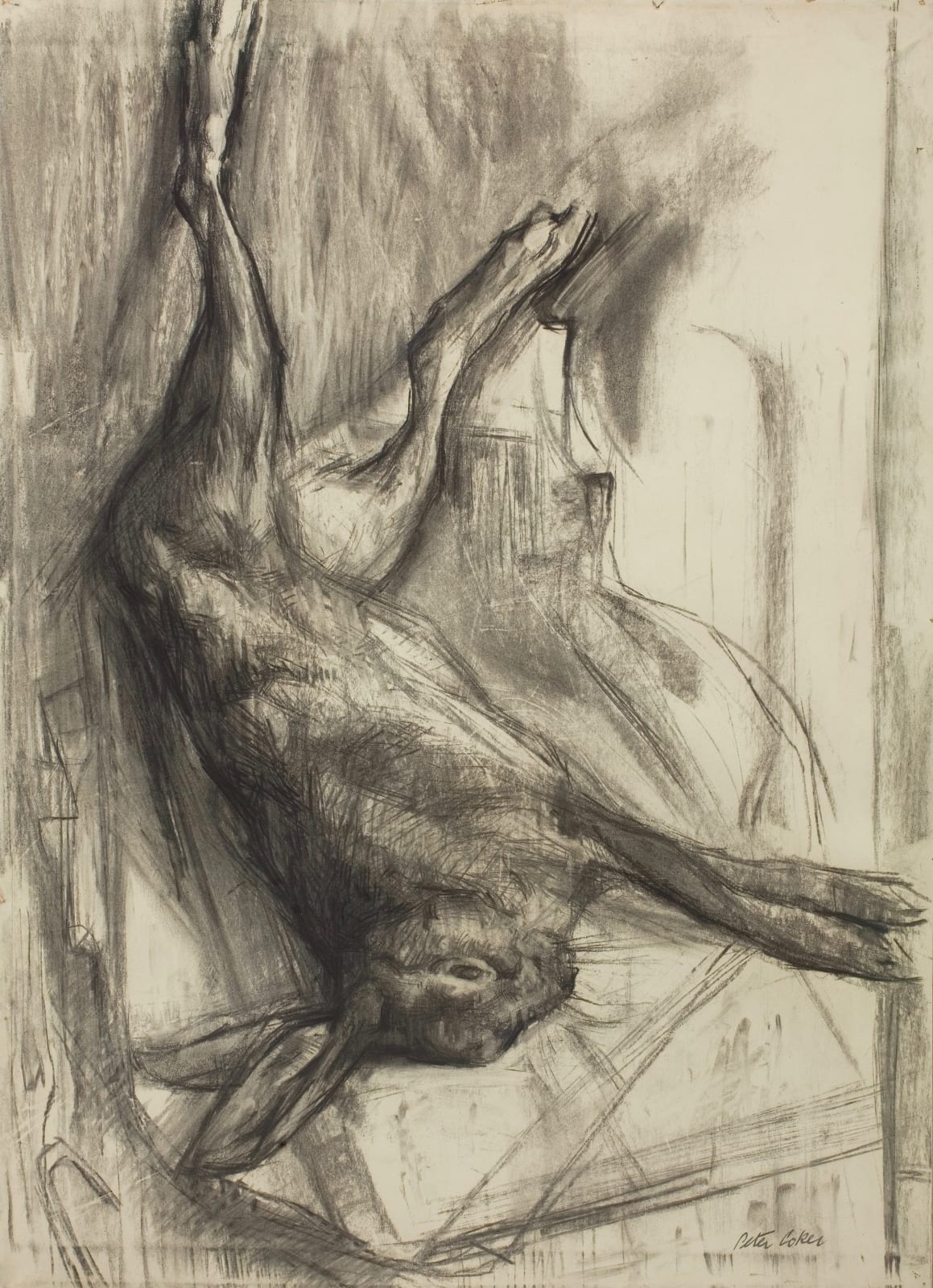 Peter Coker, Dead Hare, 1955 c.