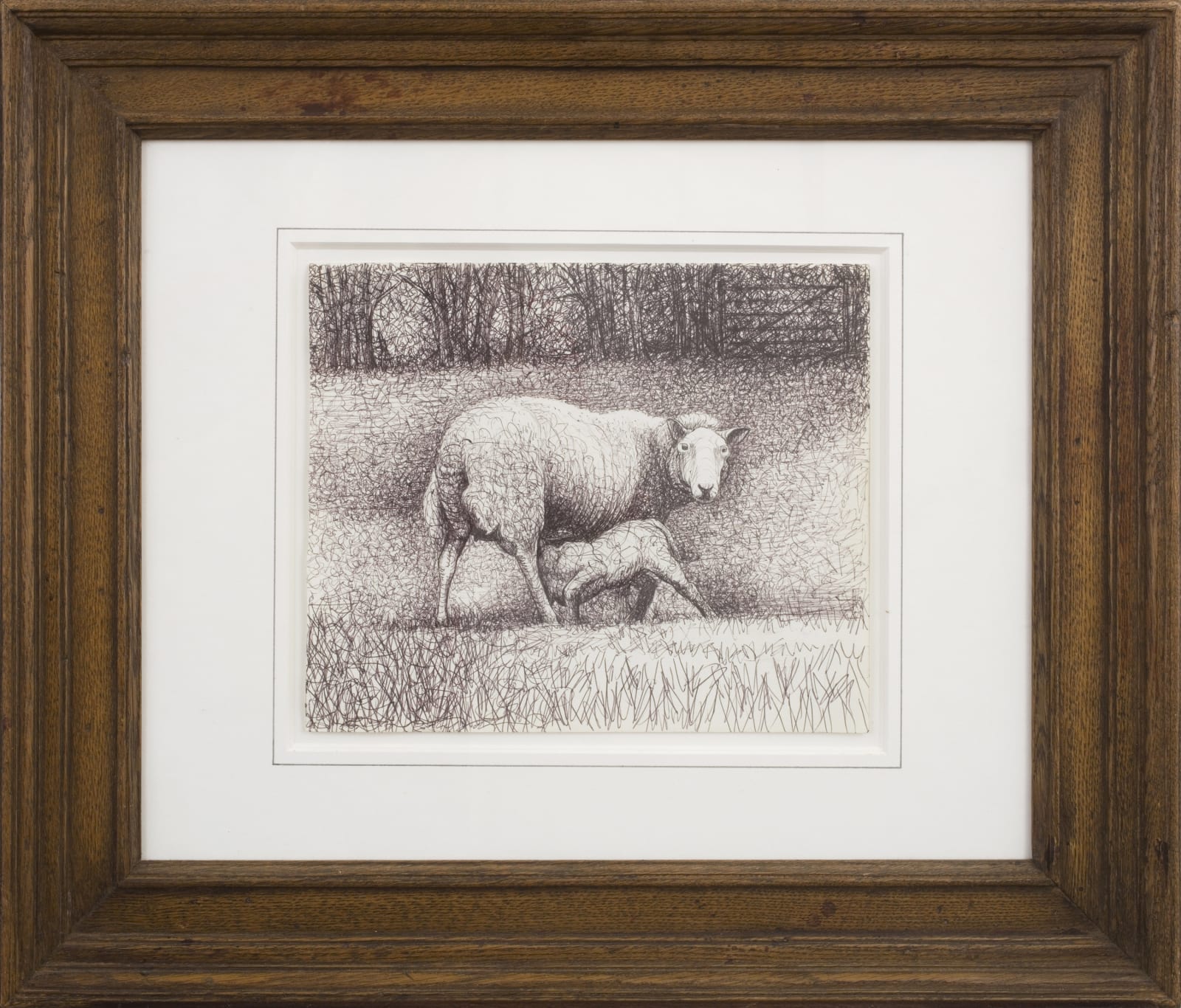 Henry Moore, Sheep Drawing, 1972