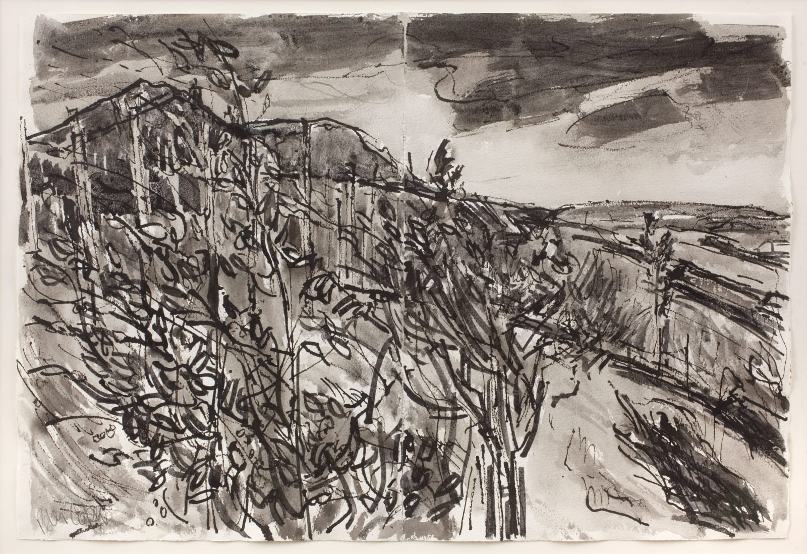 Peter Coker, Drumrunie, 1985