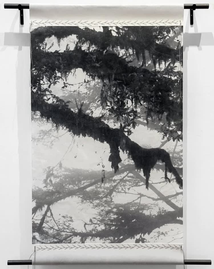 Catherine Eaton Skinner, In the Forest II, 2022