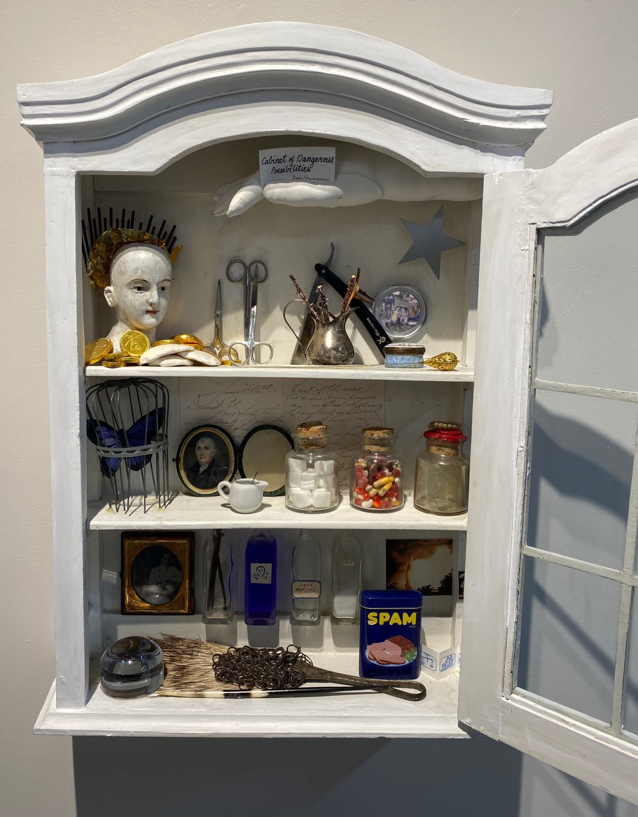 Dana Newmann, Dangerous Possibilities, 2014