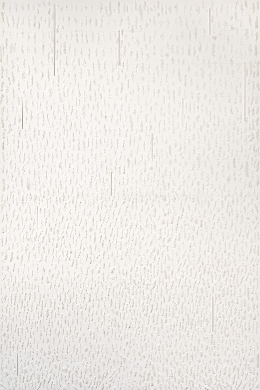 Judy Tuwaletstiwa, Ruah. To Hear, 2014