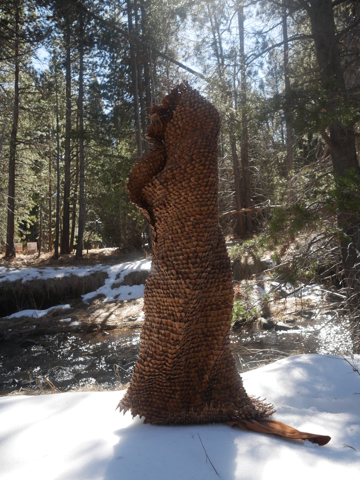 Cedra Wood, Human Pine Cone Cloak, 2017