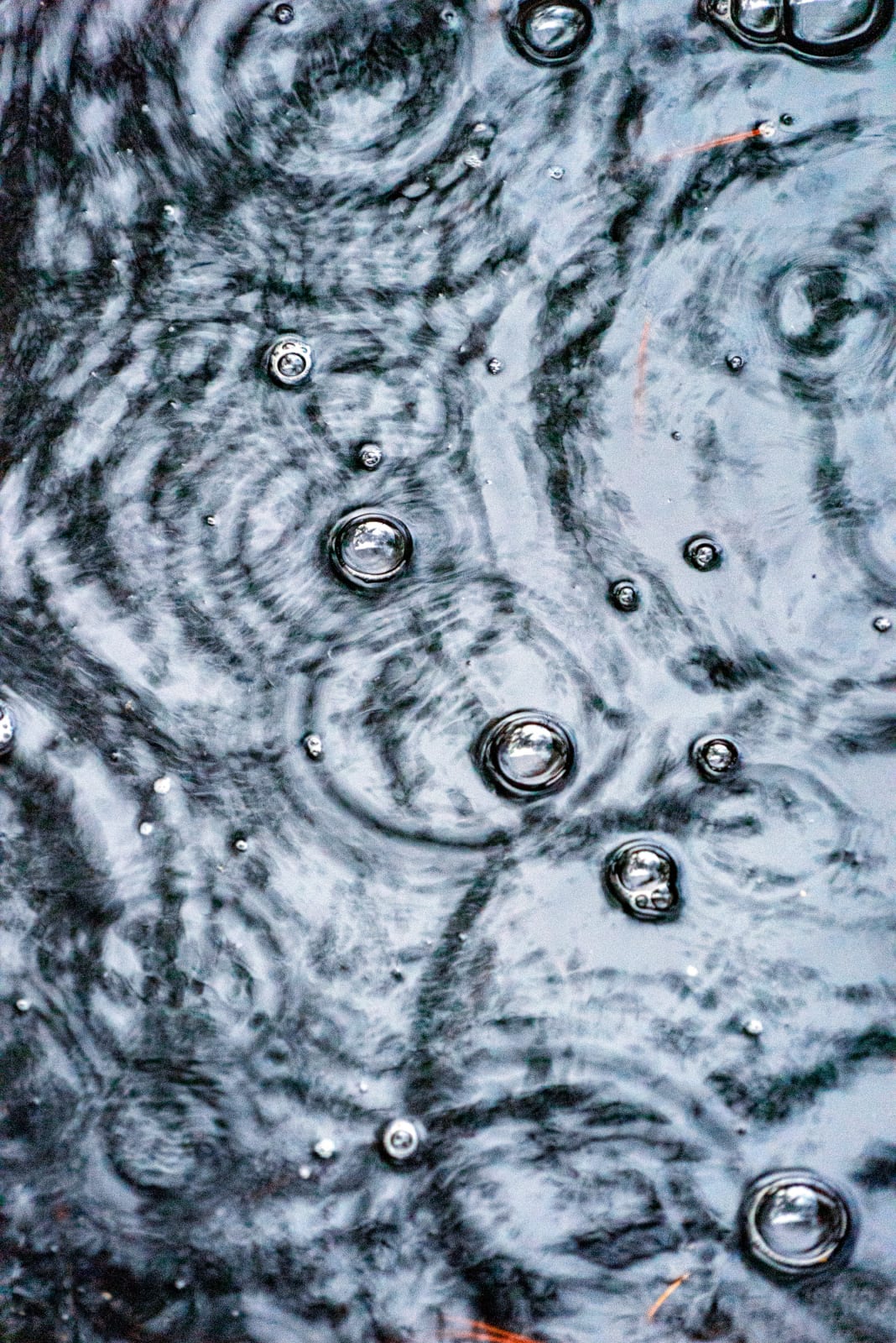 Janet Russek, Flowing Water (Raindrops), 2022