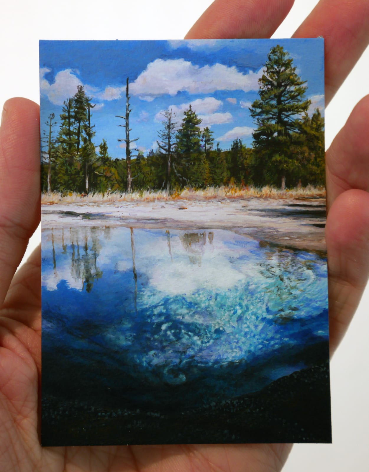 Cedra Wood, Yellowstone Series (Geysers) - Lemon Spring, 2015