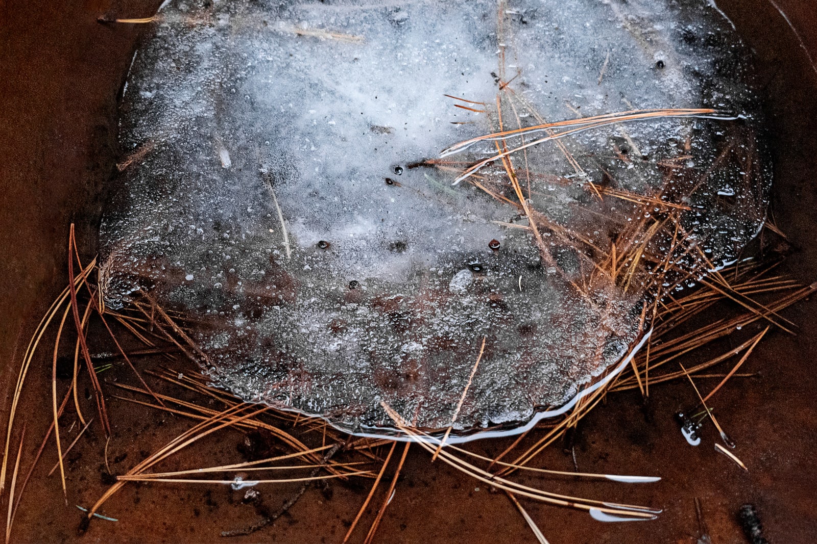 Janet Russek, Ice Moon, 2020