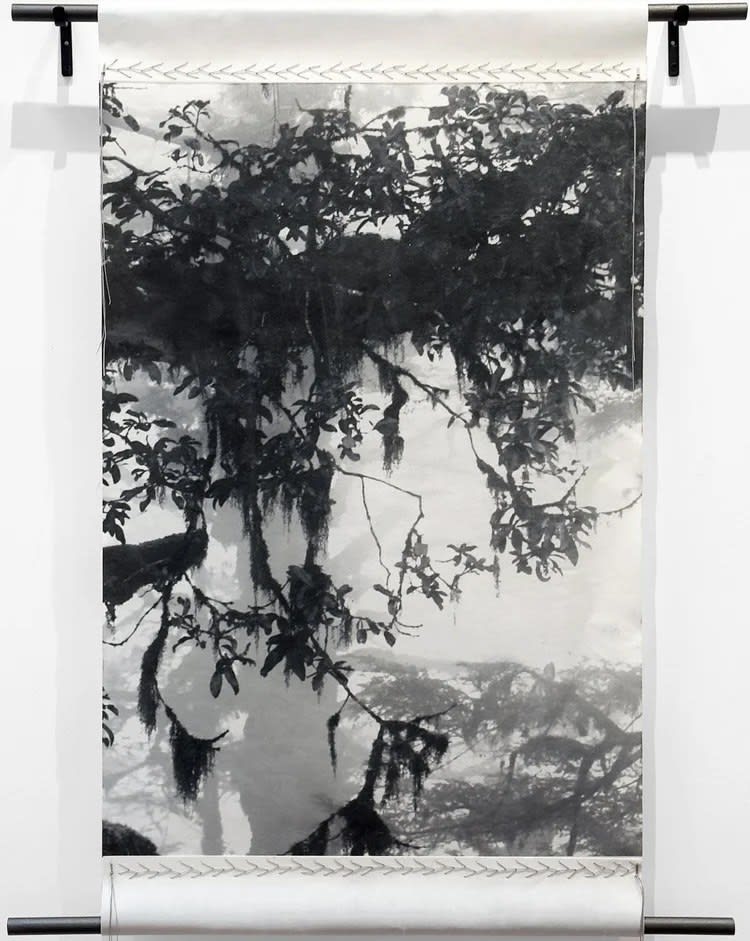 Catherine Eaton Skinner, In the Forest I, 2022