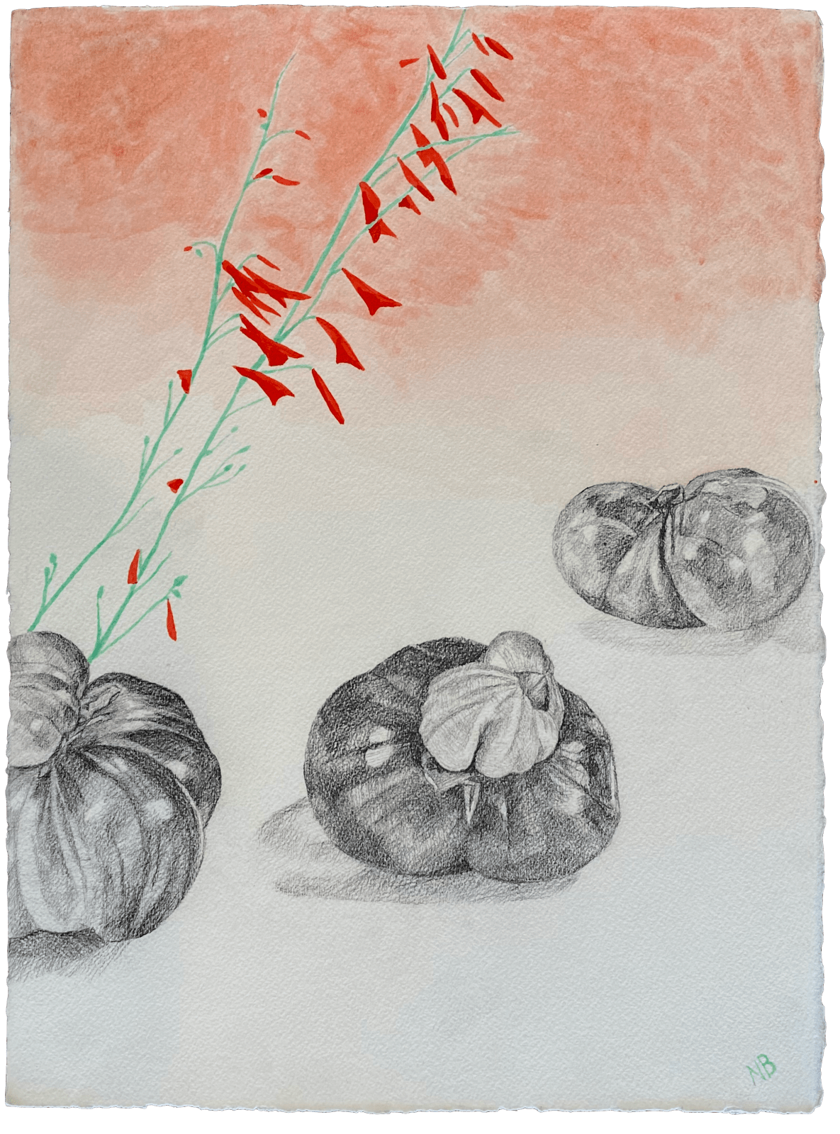 Nathan Budoff, Untitled V (Heirloom Tomatoes), 2023