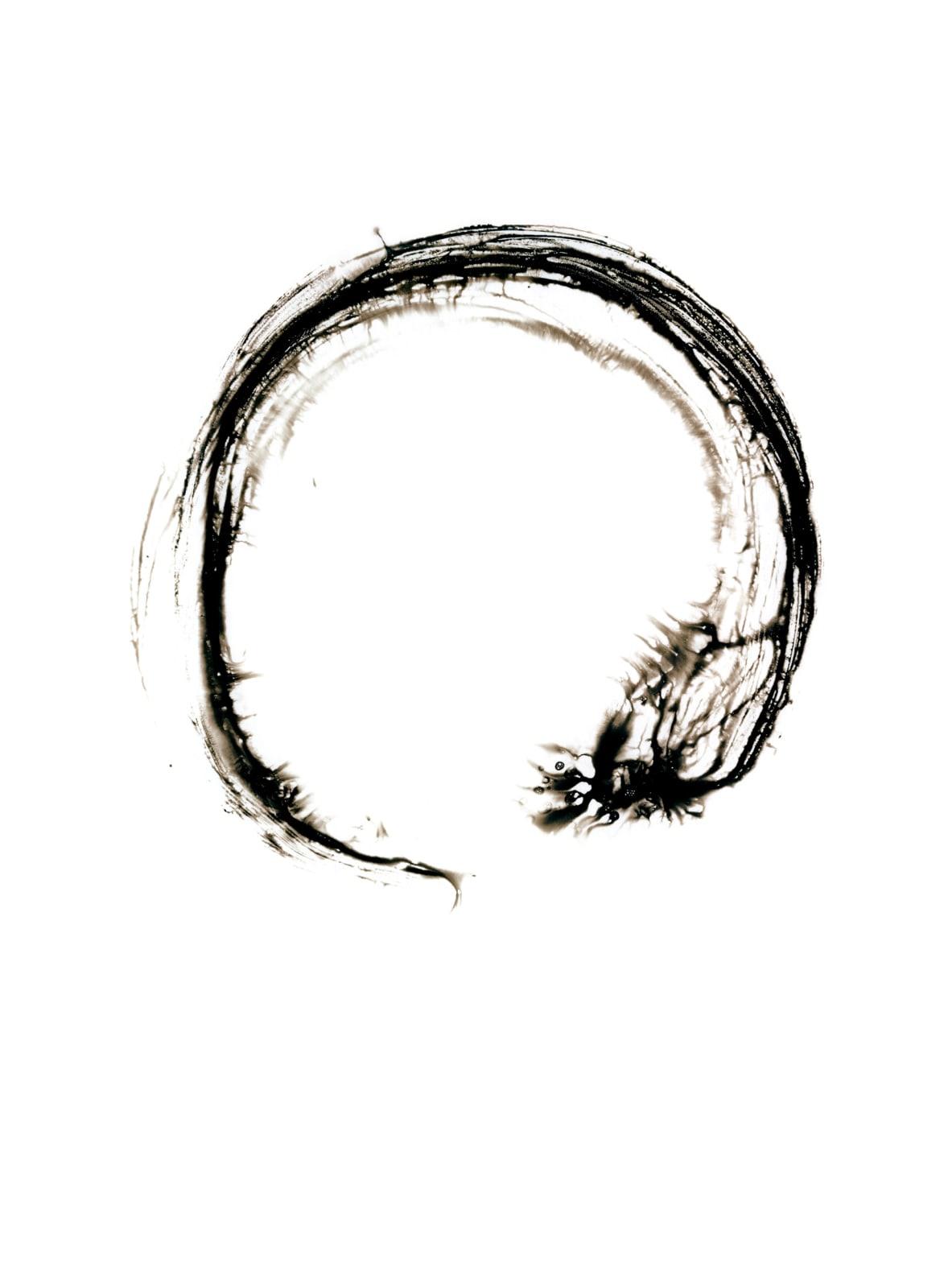 David Scheinbaum, Ensō June 2020, 2020