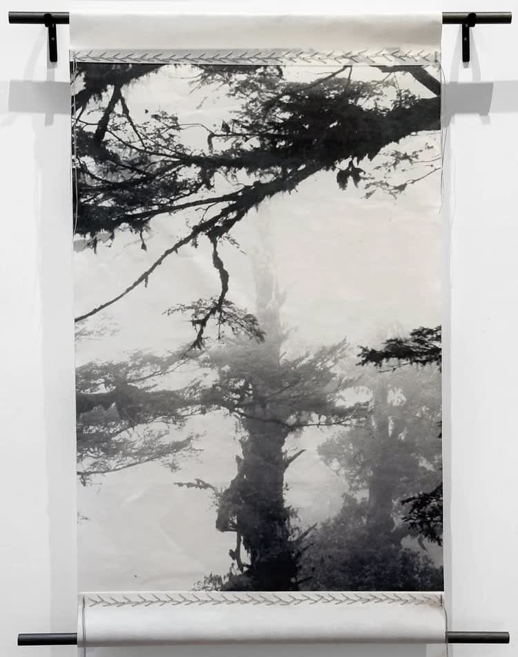 Catherine Eaton Skinner, In the Forest III, 2022