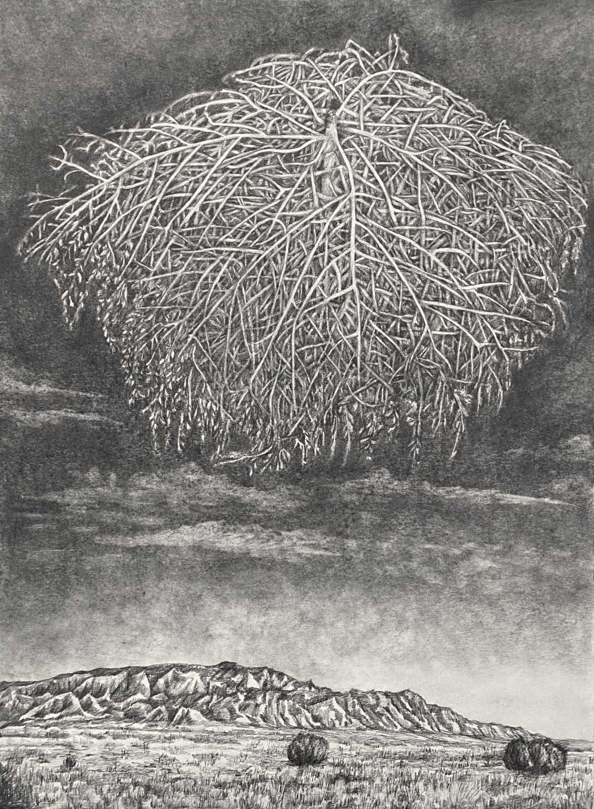 Nina Elder, Tumbleweed, 2023