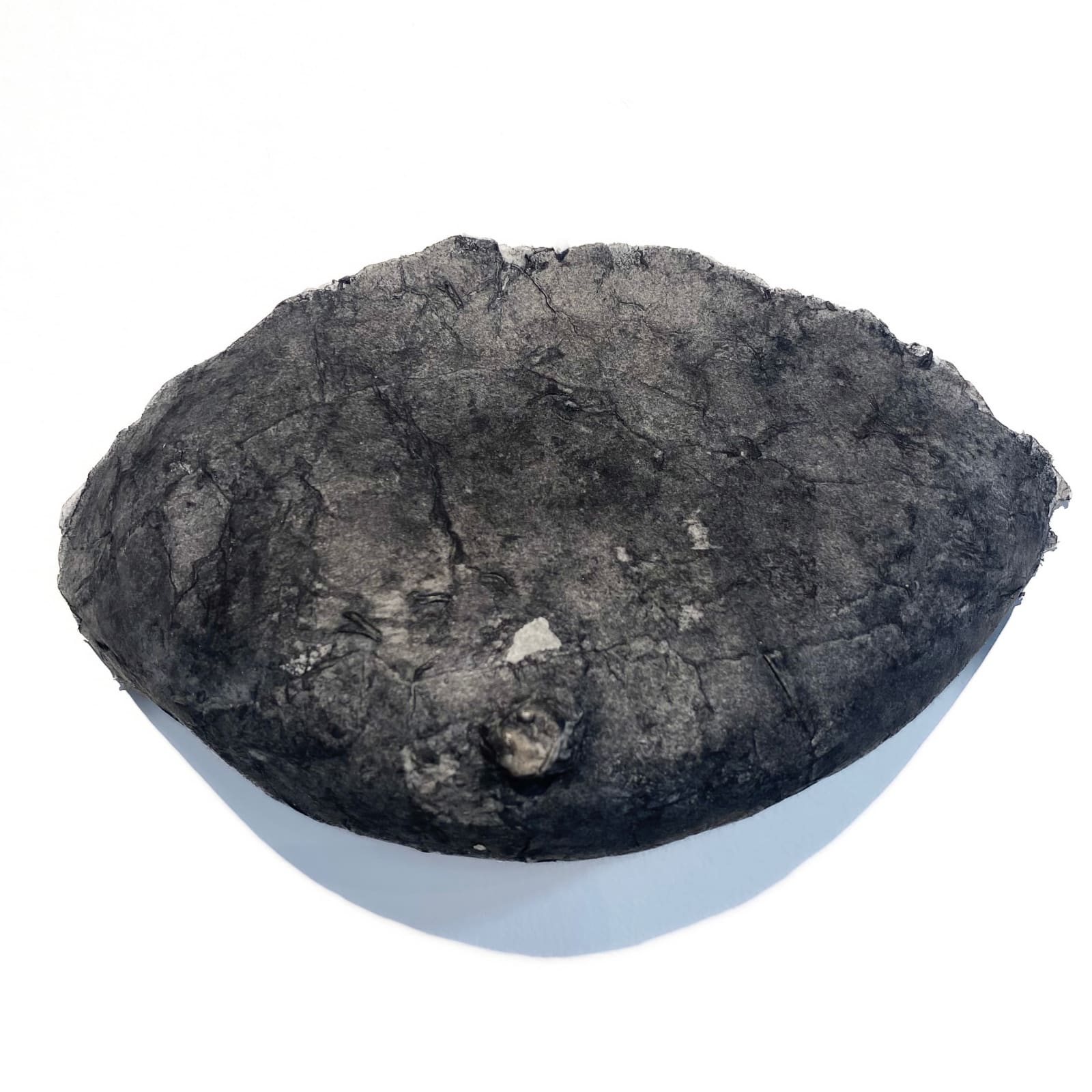 Danila Rumold, Breast of Charcoal, Goddesses Series, 2023