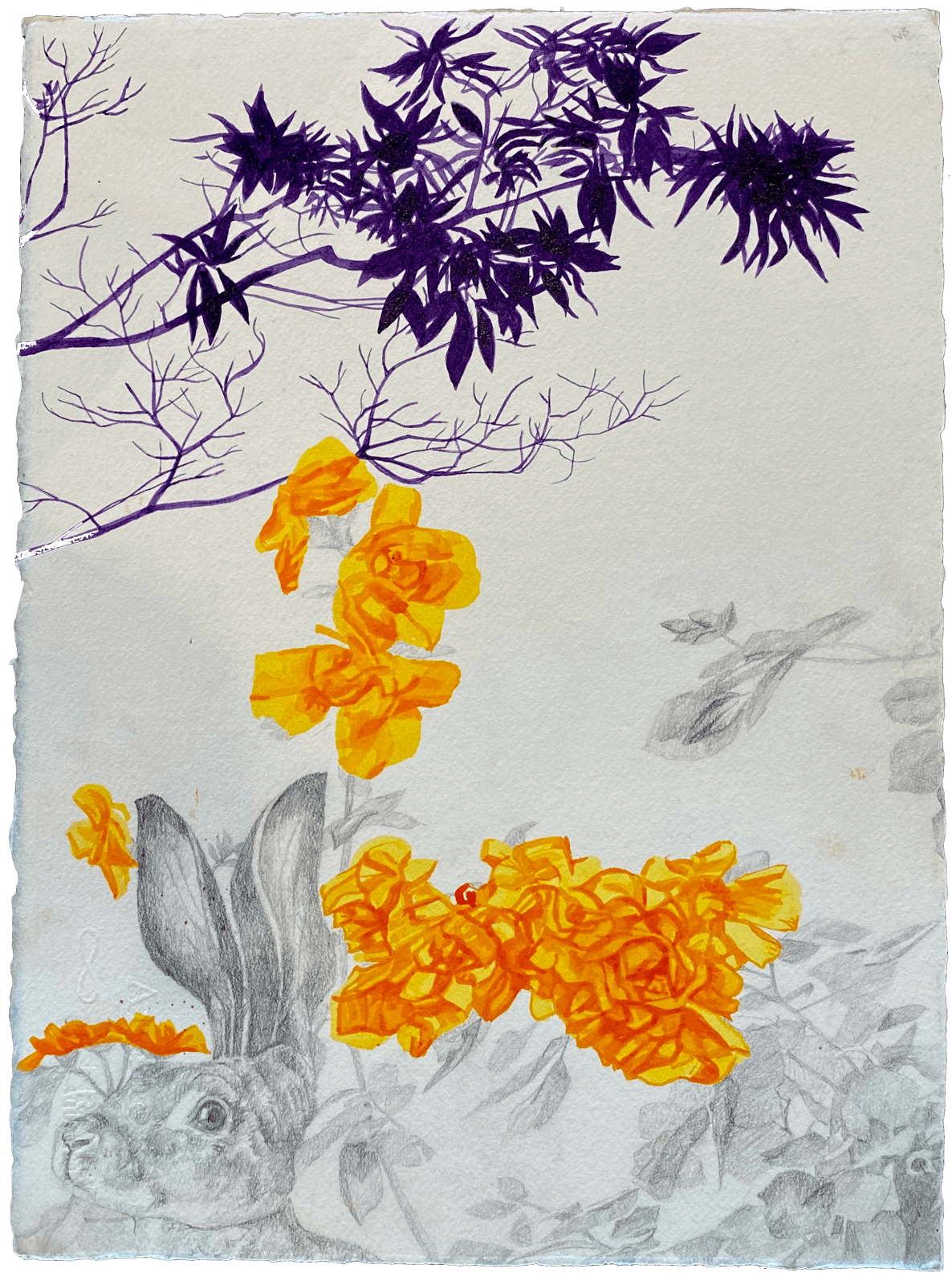 Nathan Budoff, Untitled VI (Rabbit and Purple Flowers), 2023