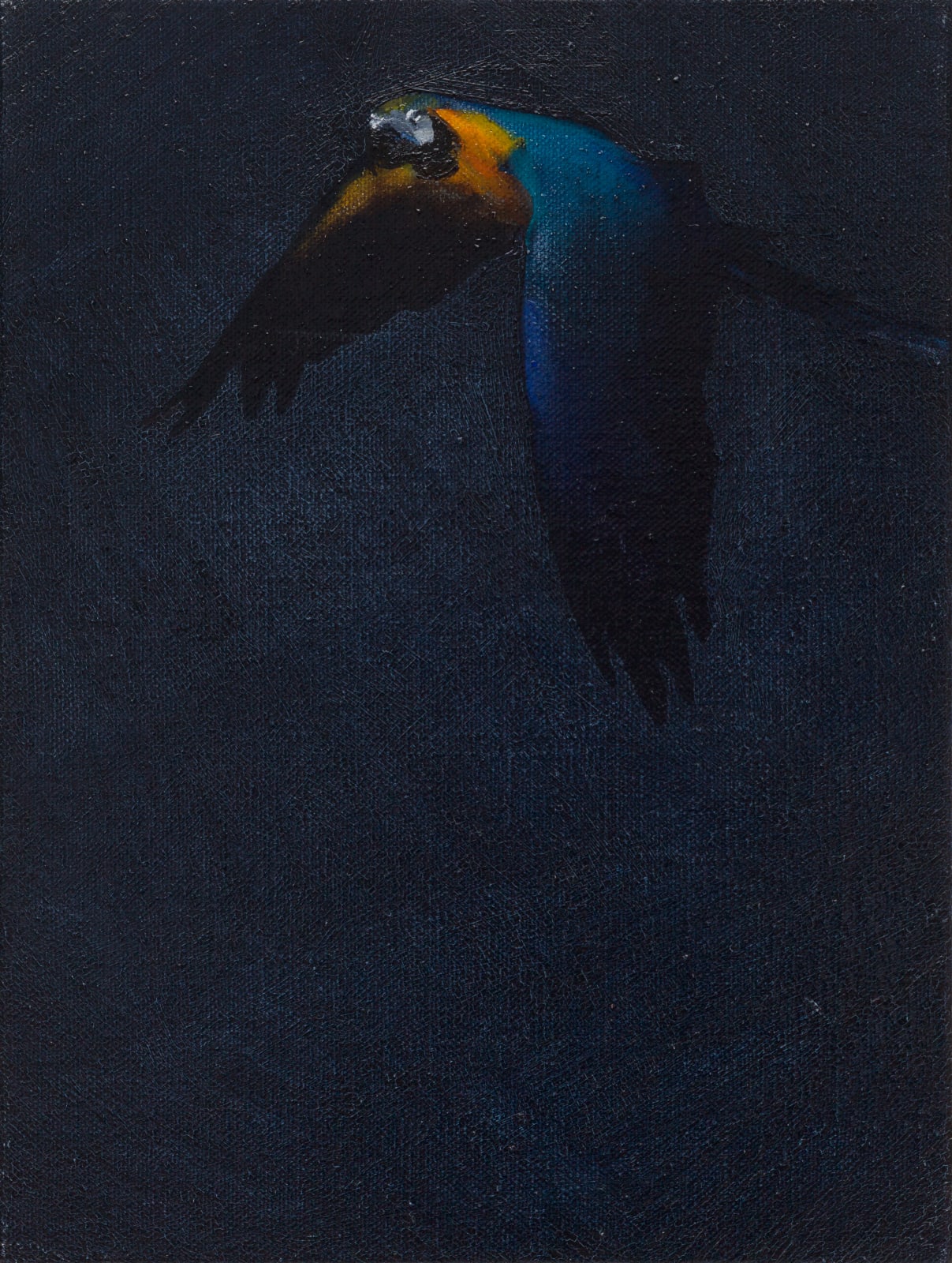 Matthew Kentmann, Blue & Gold 5, 2019