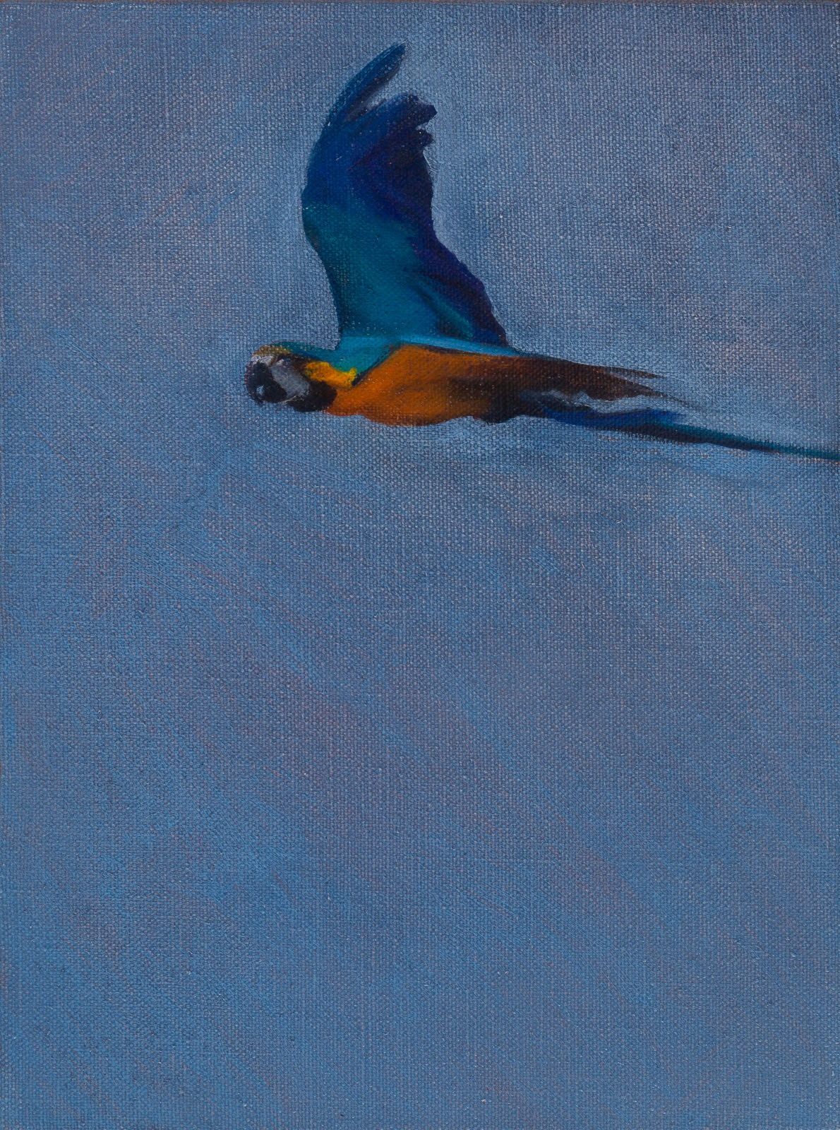 Blue & Gold 4