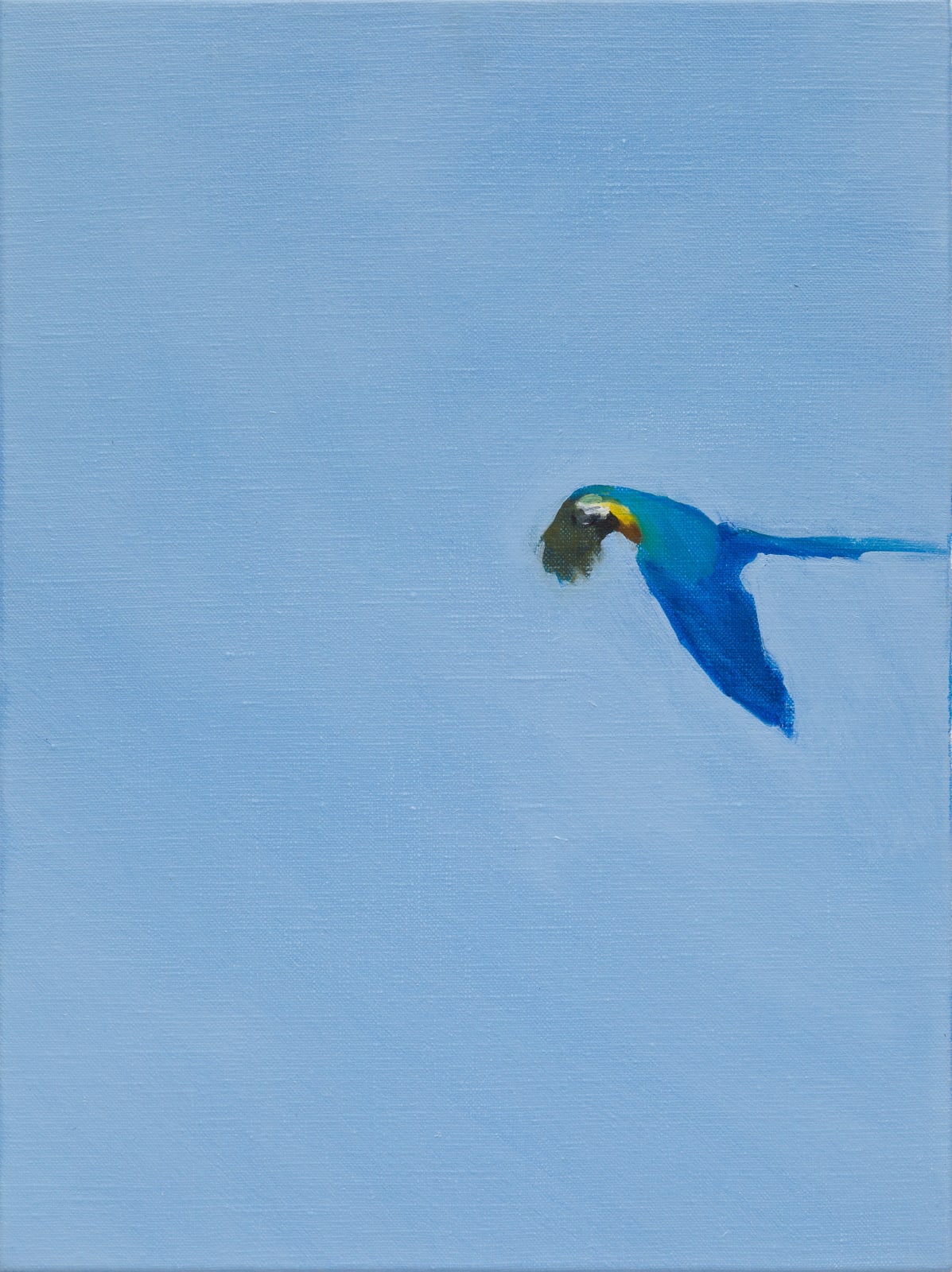 Blue & Gold 3
