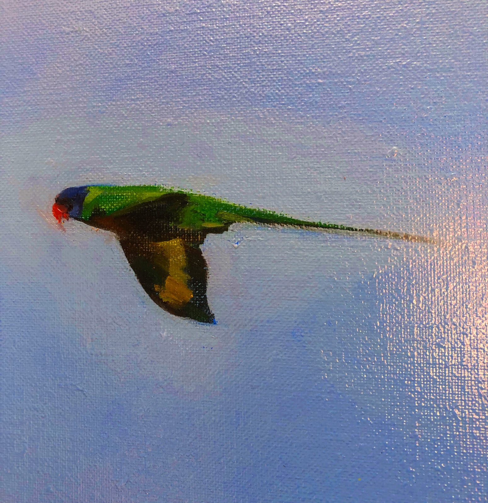 Matthew Kentmann, Little Birds, 2019