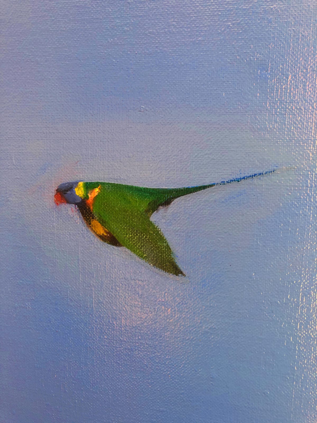 Matthew Kentmann, Little Birds, 2019