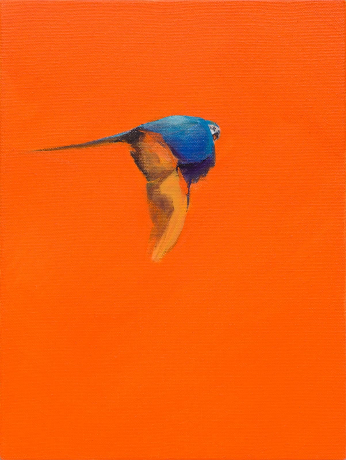 Matthew Kentmann, Blue & Gold 8, 2019