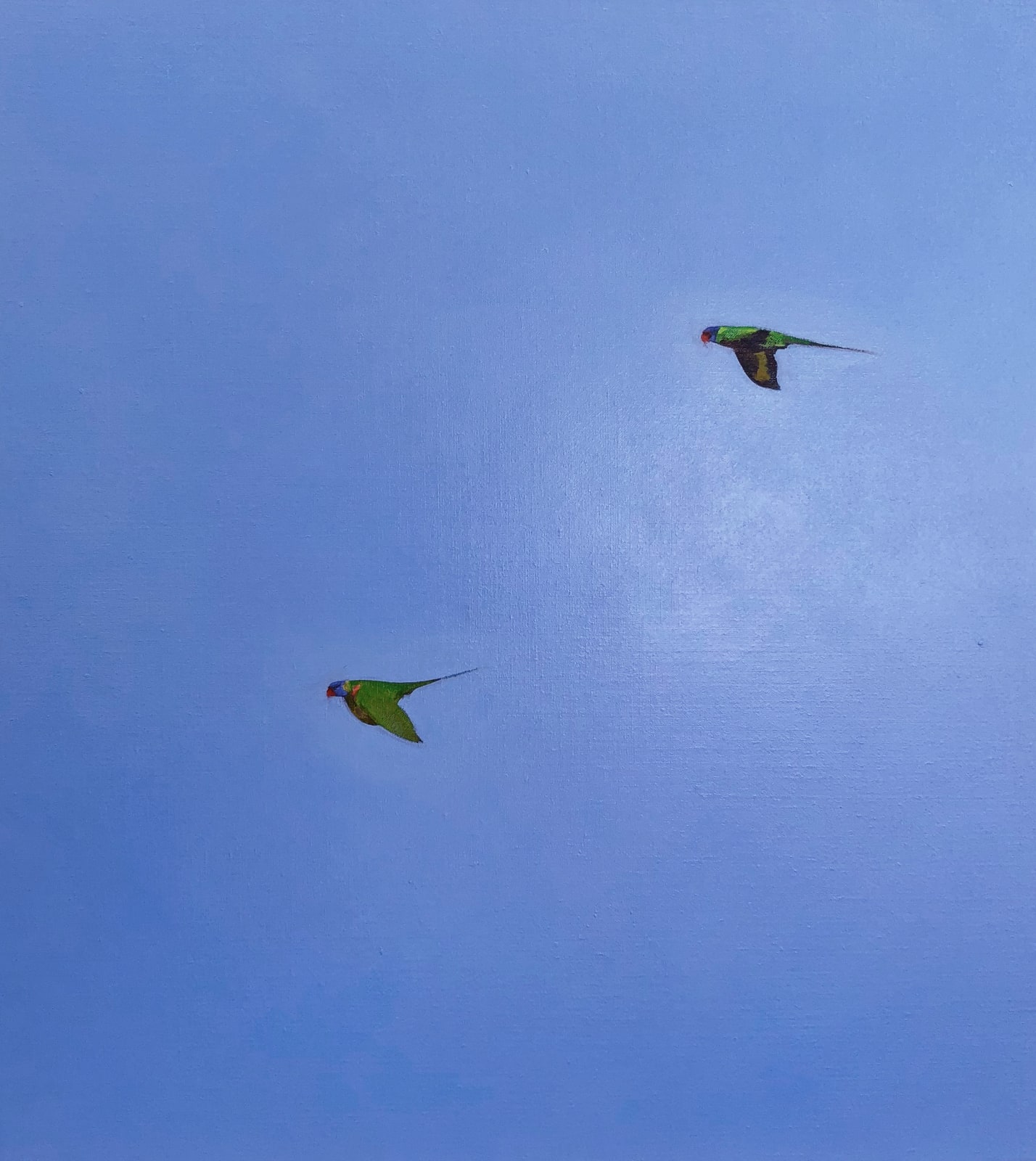 Matthew Kentmann, Little Birds, 2019