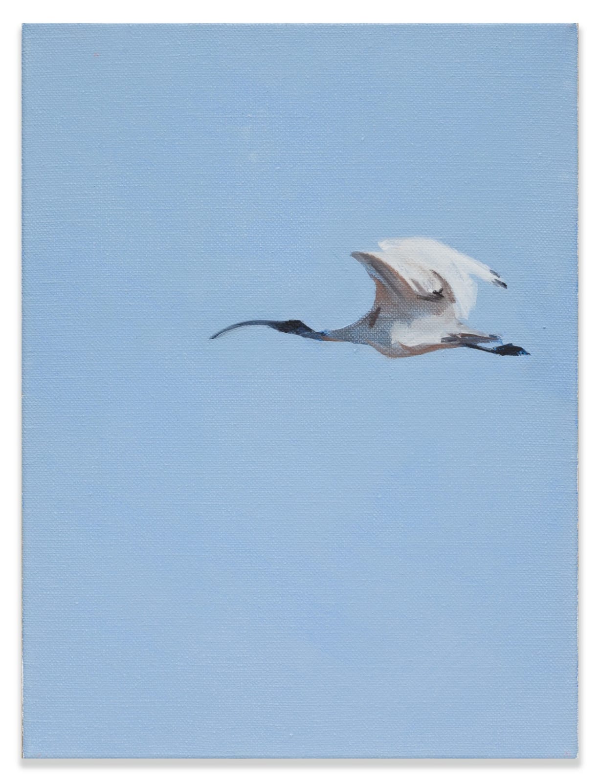 Matthew Kentmann, CP 1, 2019