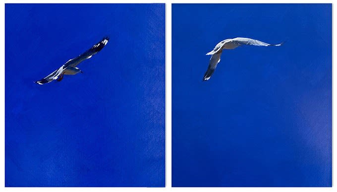 Matthew Kentmann, Uplifted, 2022