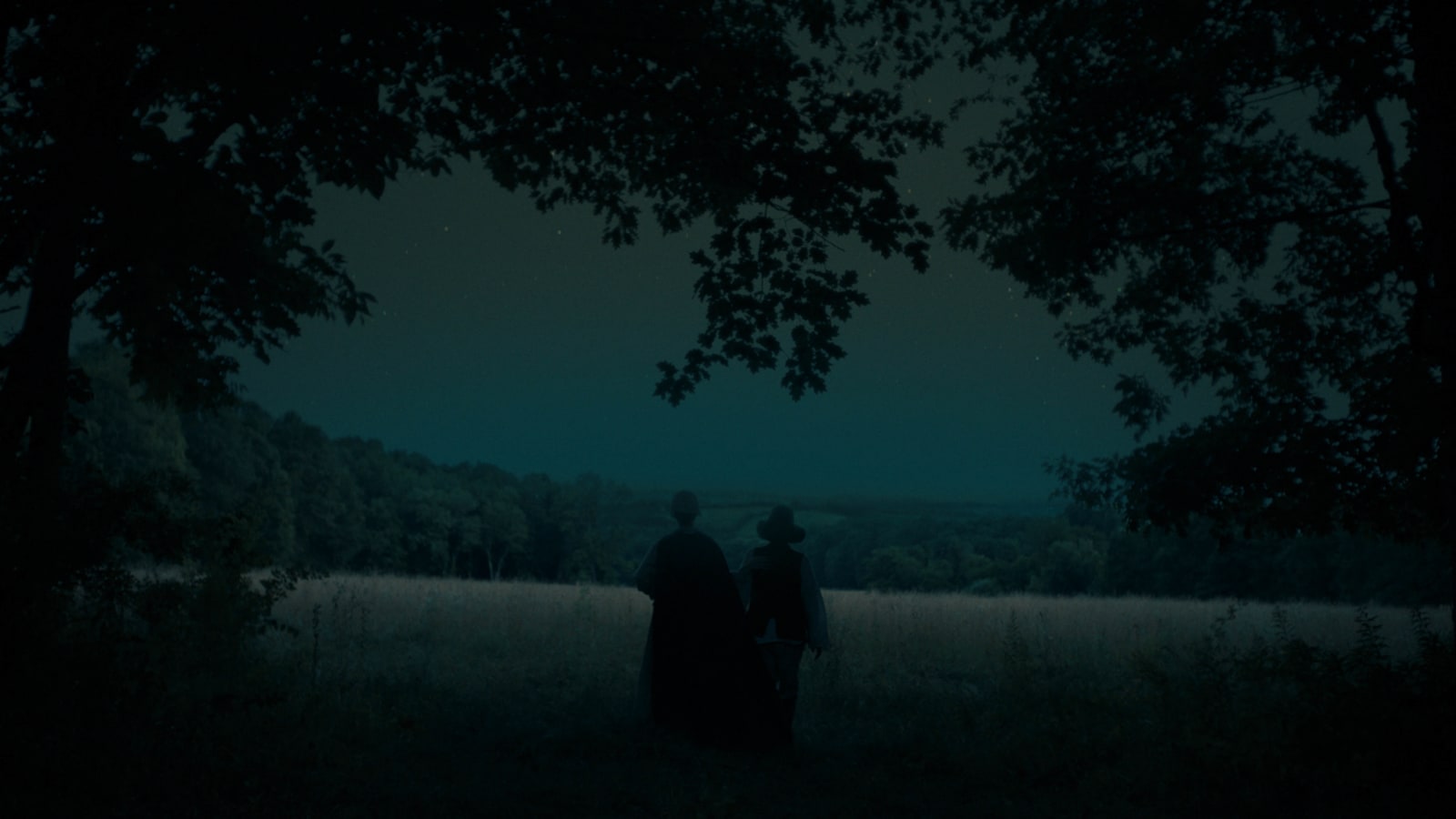 Rachel Rose, Enclosure, 2019