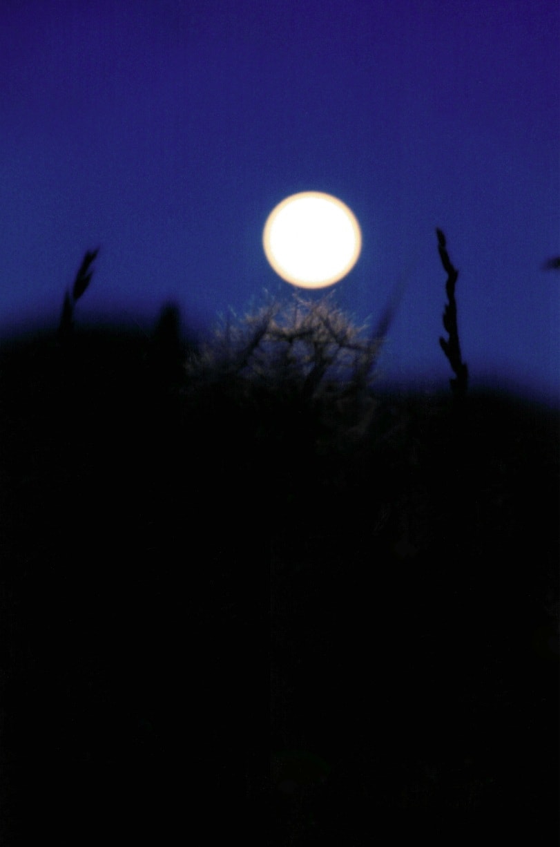 Rachel Rose, North Salem Moon (1993), 2022