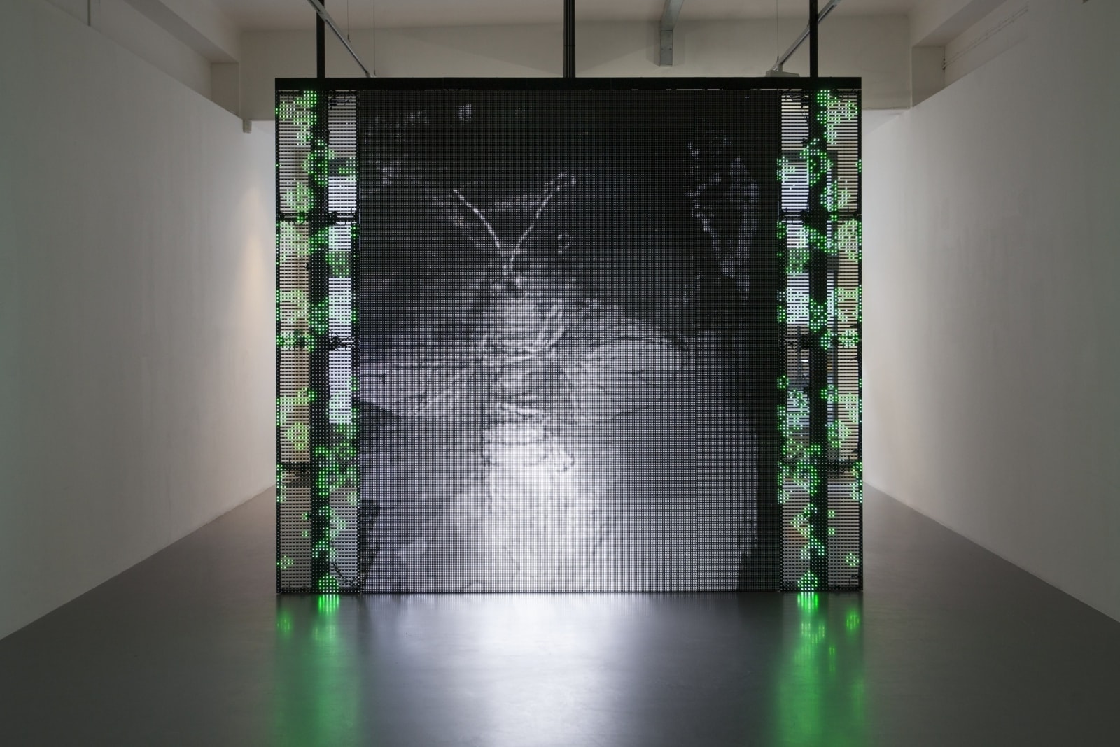 Philippe Parreno, With a Rhythmic Instinction to be Able to Travel Beyond Existing Forces of Life (Green, Rule#1), 2014