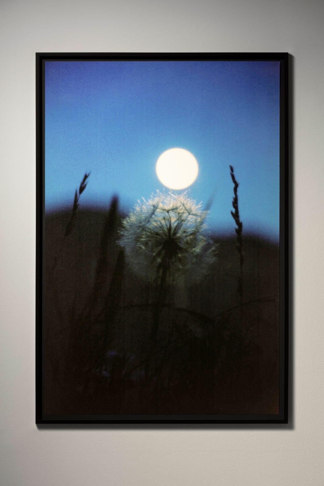 Rachel Rose, The Open Land by Moonlight (1993), 2022