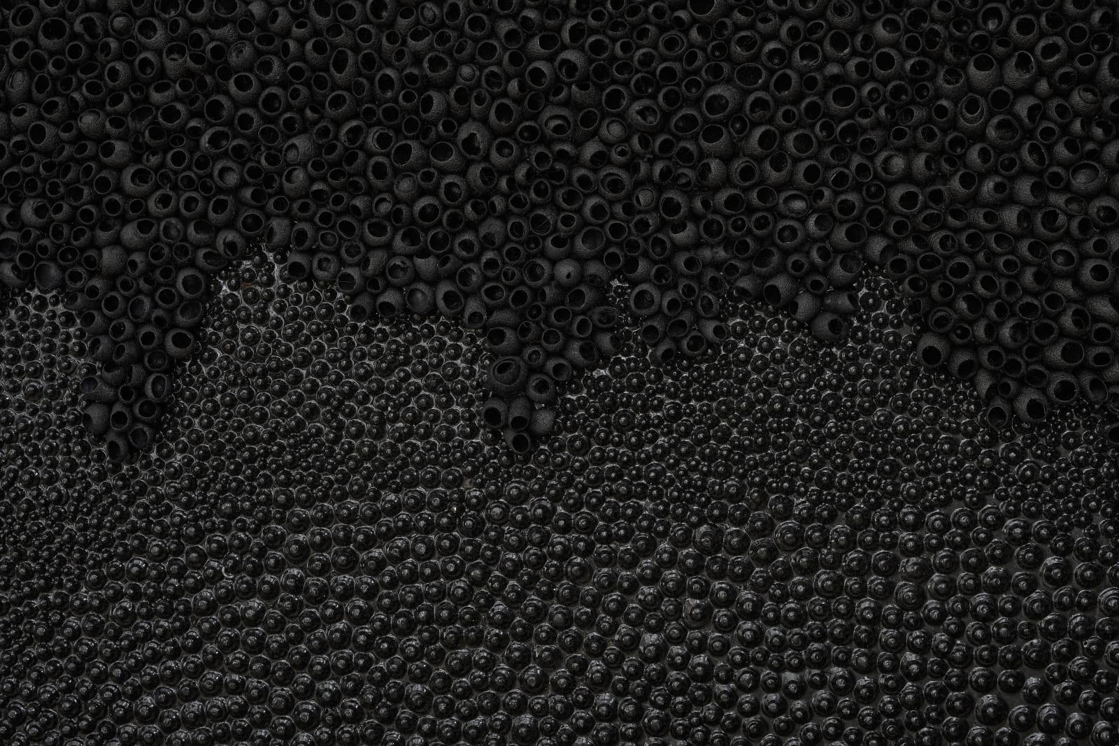 Lina Iris Viktor, from dawn to dusk, the soil is rich within us, 2024
