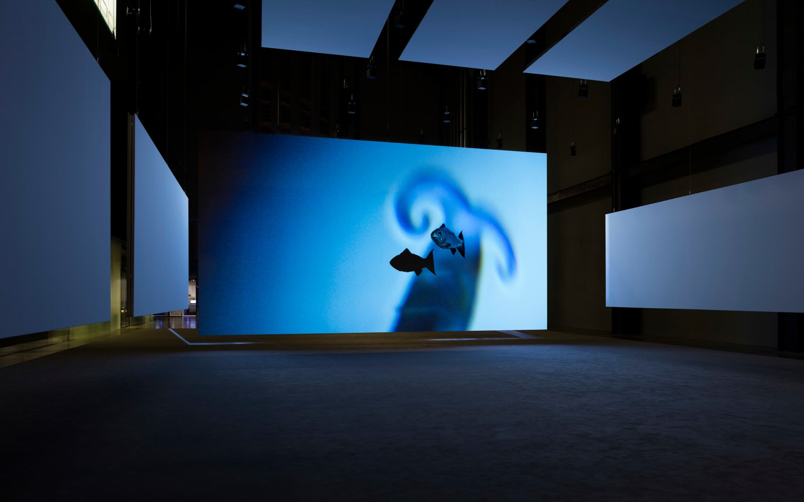 Philippe Parreno, My Room is Another Fish Bowl, 2016