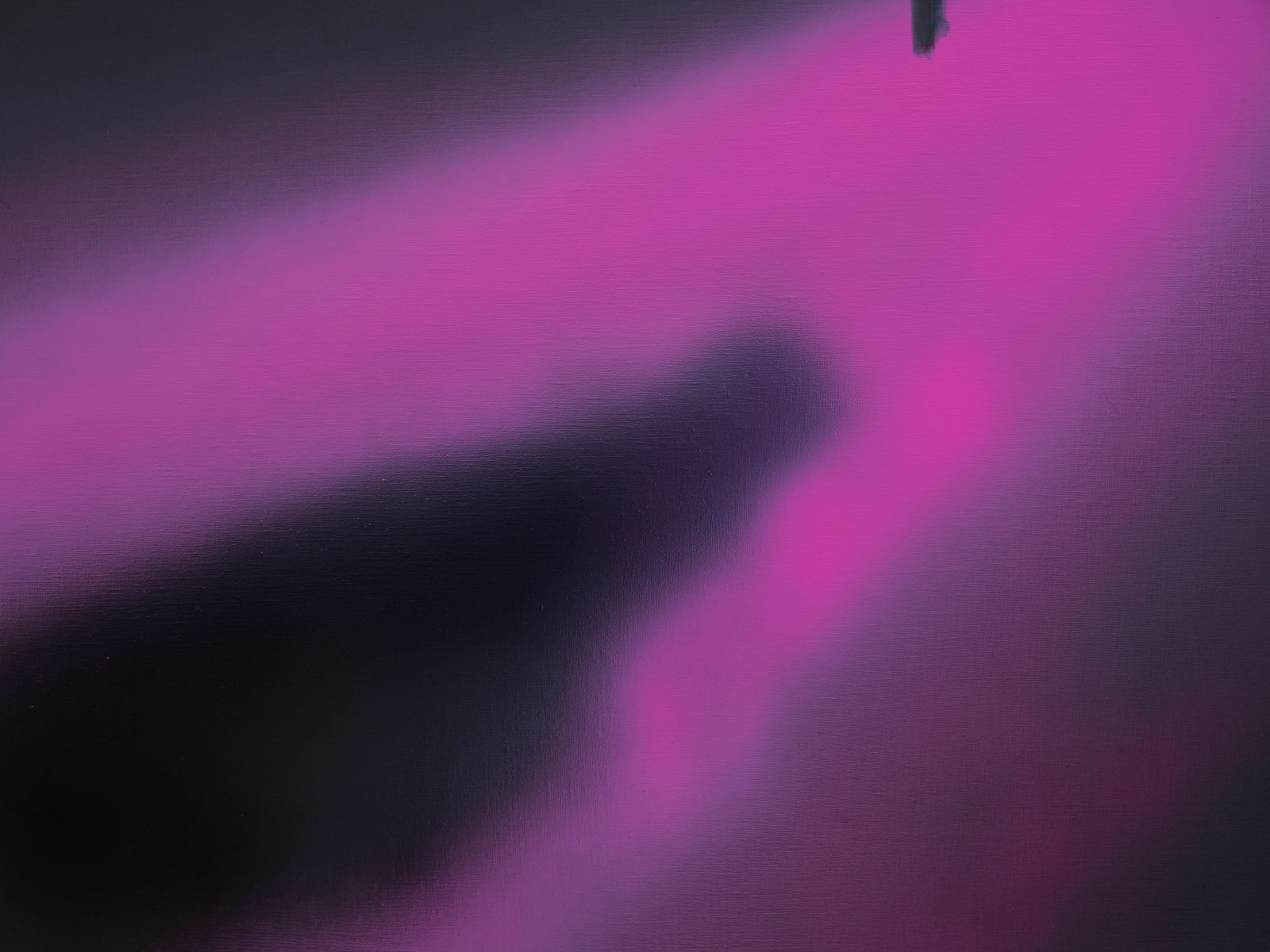 Tala Madani, Untitled, 2020
