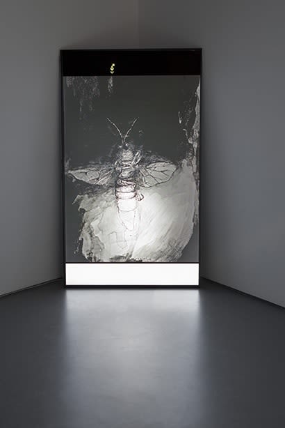 Philippe Parreno, With a Rhythmic Instinction to be Able to Travel Beyond Existing Forces of Life (Purple + Red, Rule #2), 2014