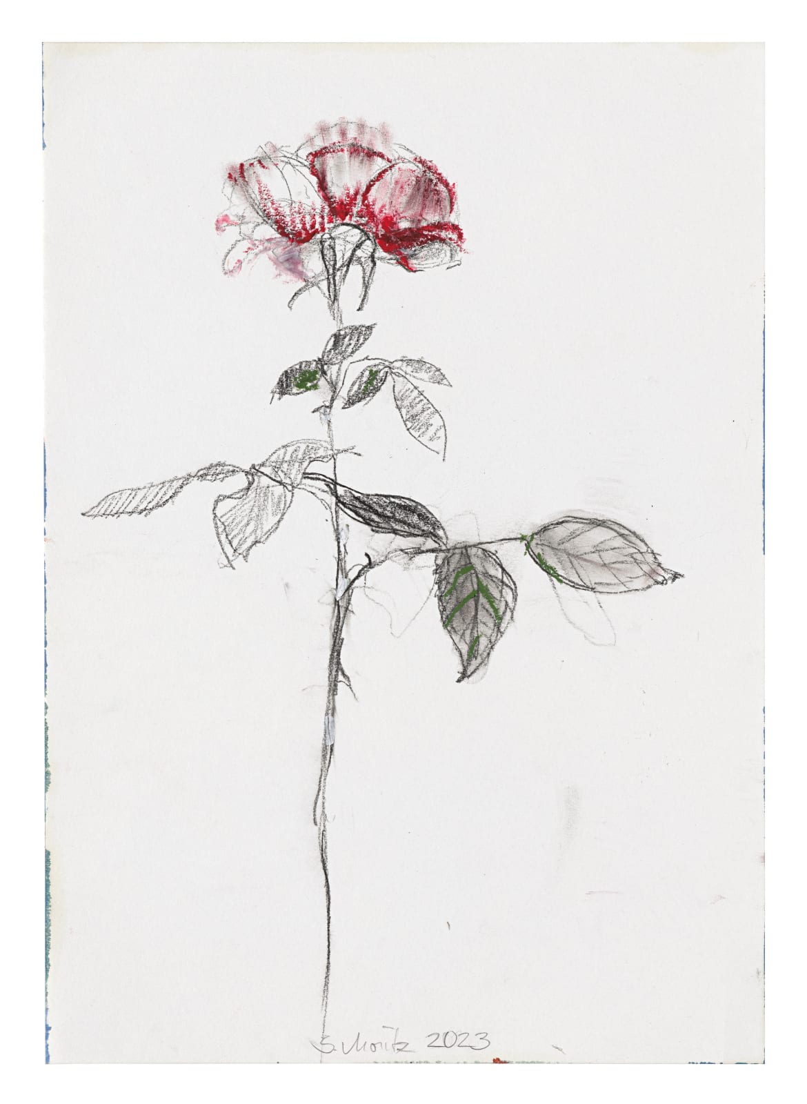 Sabine Moritz, Rose 54, 2023