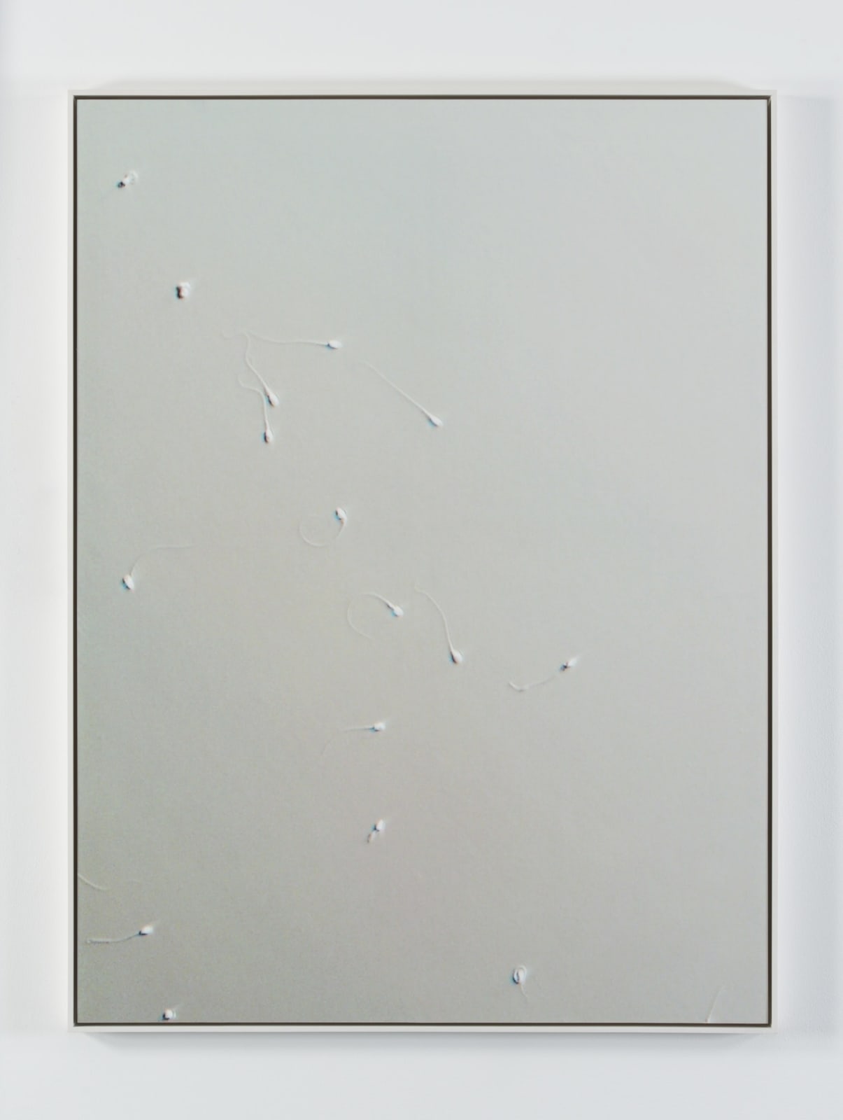 Carissa Rodriguez, Yesterday I Tried to Paint You, 2012