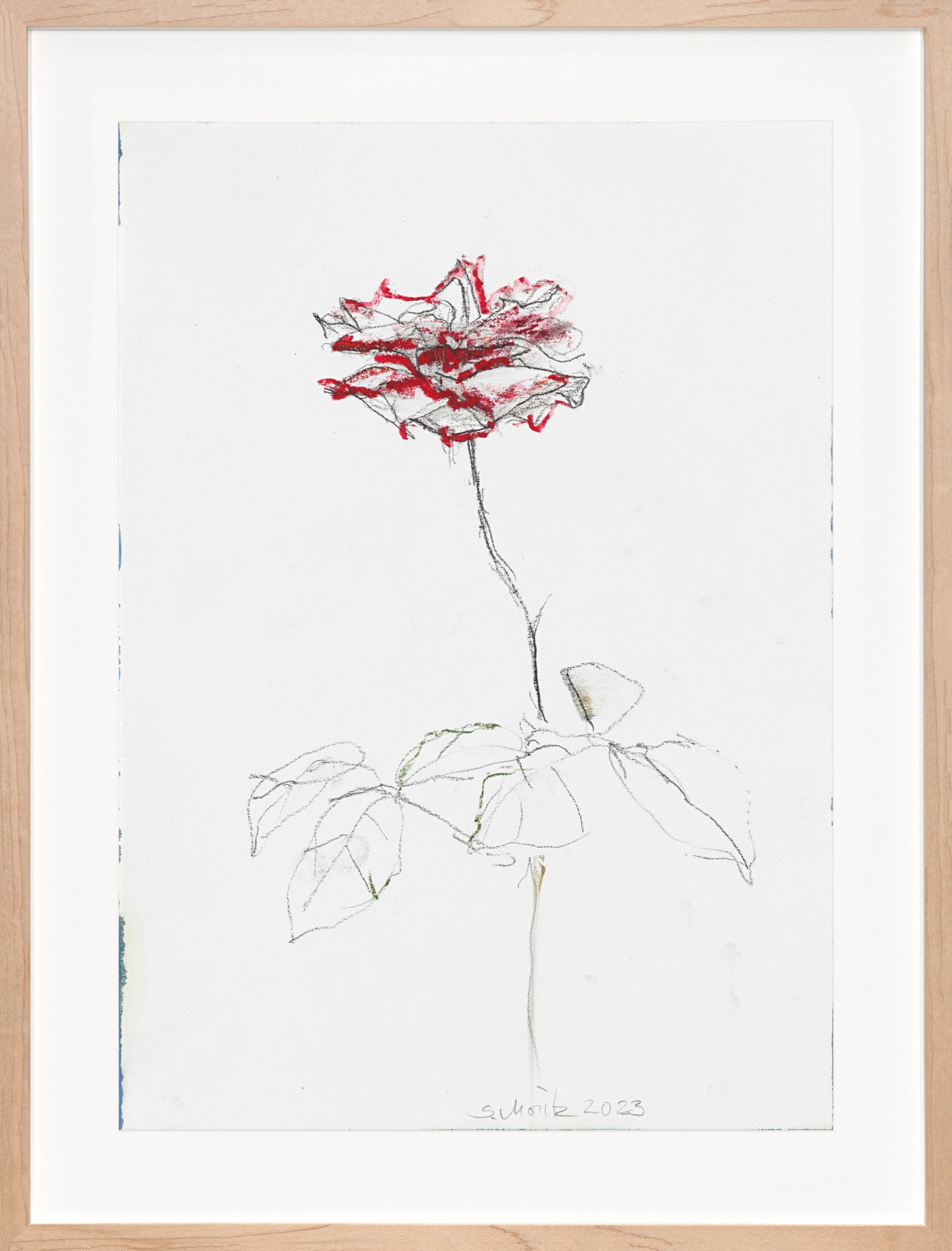 Sabine Moritz, Rose 53, 2023
