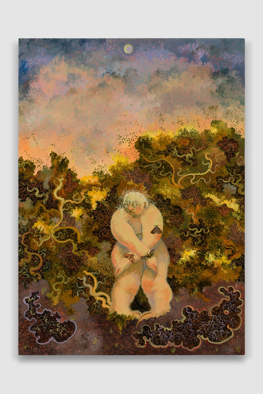 Georg Wilson, Spring Usher, 2025