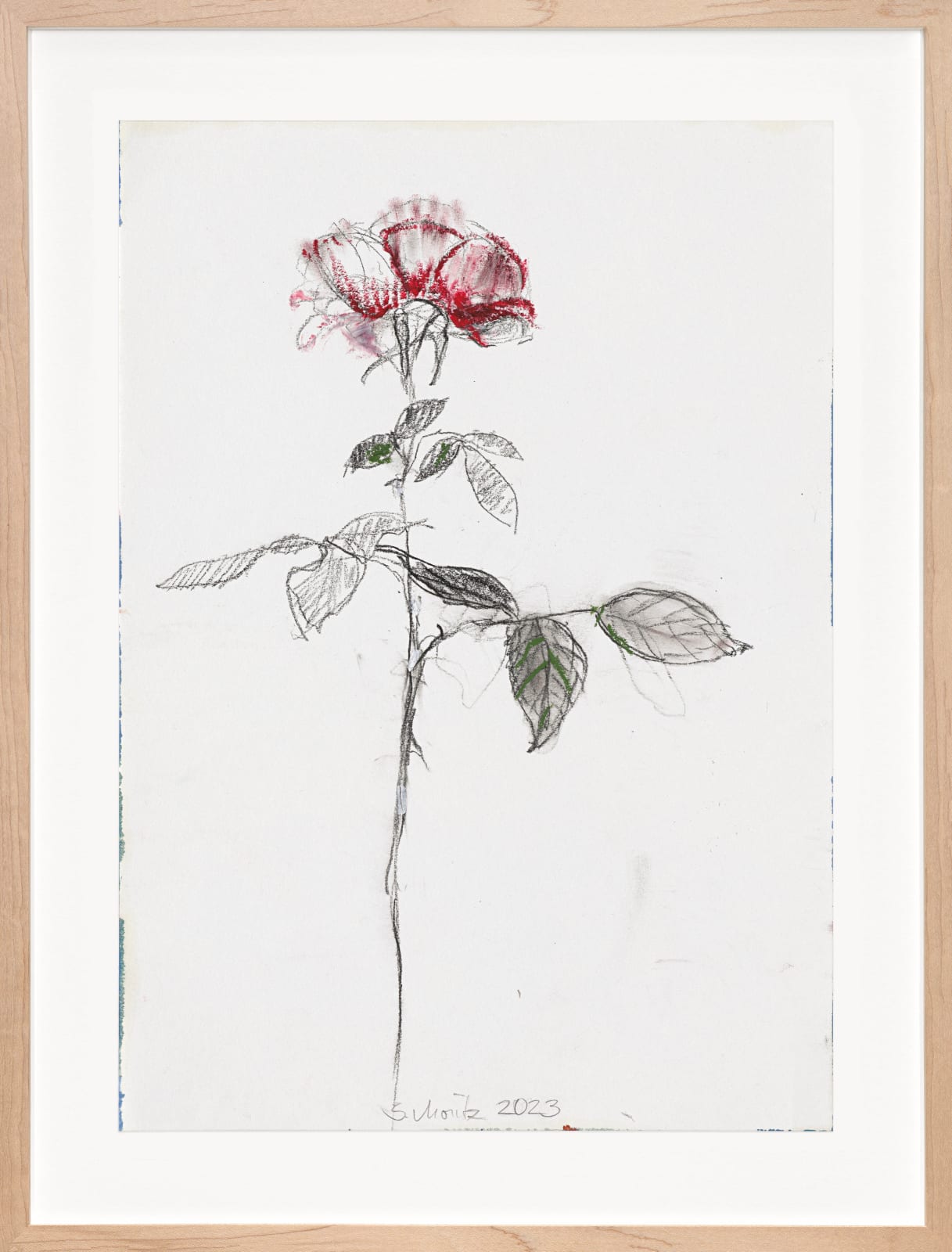 Sabine Moritz, Rose 54, 2023