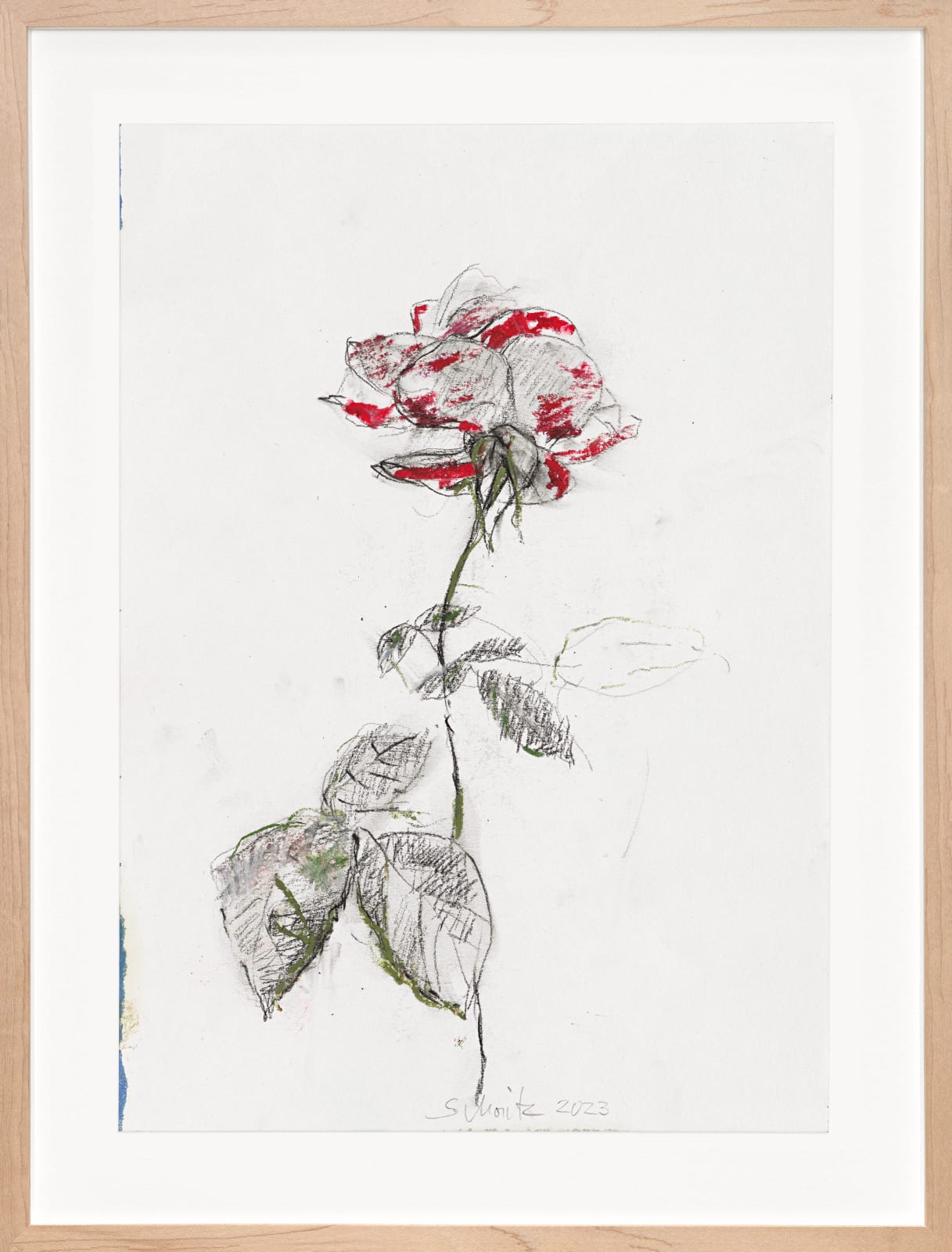 Sabine Moritz, Rose 52, 2023