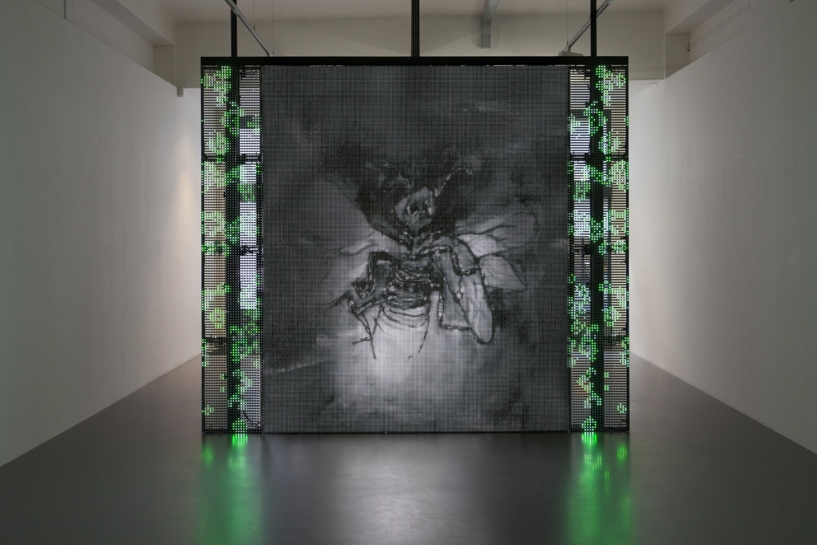 Philippe Parreno, With a Rhythmic Instinction to be Able to Travel Beyond Existing Forces of Life (Green, Rule#1), 2014